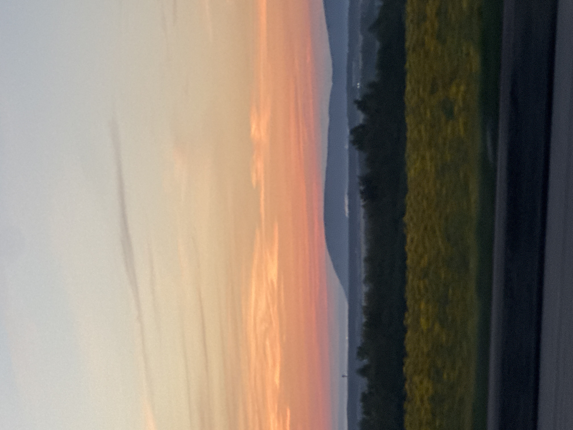 This image shows a rural landscape during either sunrise or sunset. The sky is filled with soft hues of orange and pink, transitioning to a pale blue at the top. In the distance, rolling hills are visible, shrouded in a light haze. A dark line of trees forms a dense border across the middle of the frame, separating the hills from a field of yellow flowers in the foreground. A dark grey road or pavement is at the bottom of the image. There are no people, animals, or man-made structures clearly visible in this scene. The image appears to be taken from a moving vehicle, as indicated by the slight blur and the perspective of the foreground. The specific location in the city of Mar'evka, Russia, is not discernible from the visual information provided.