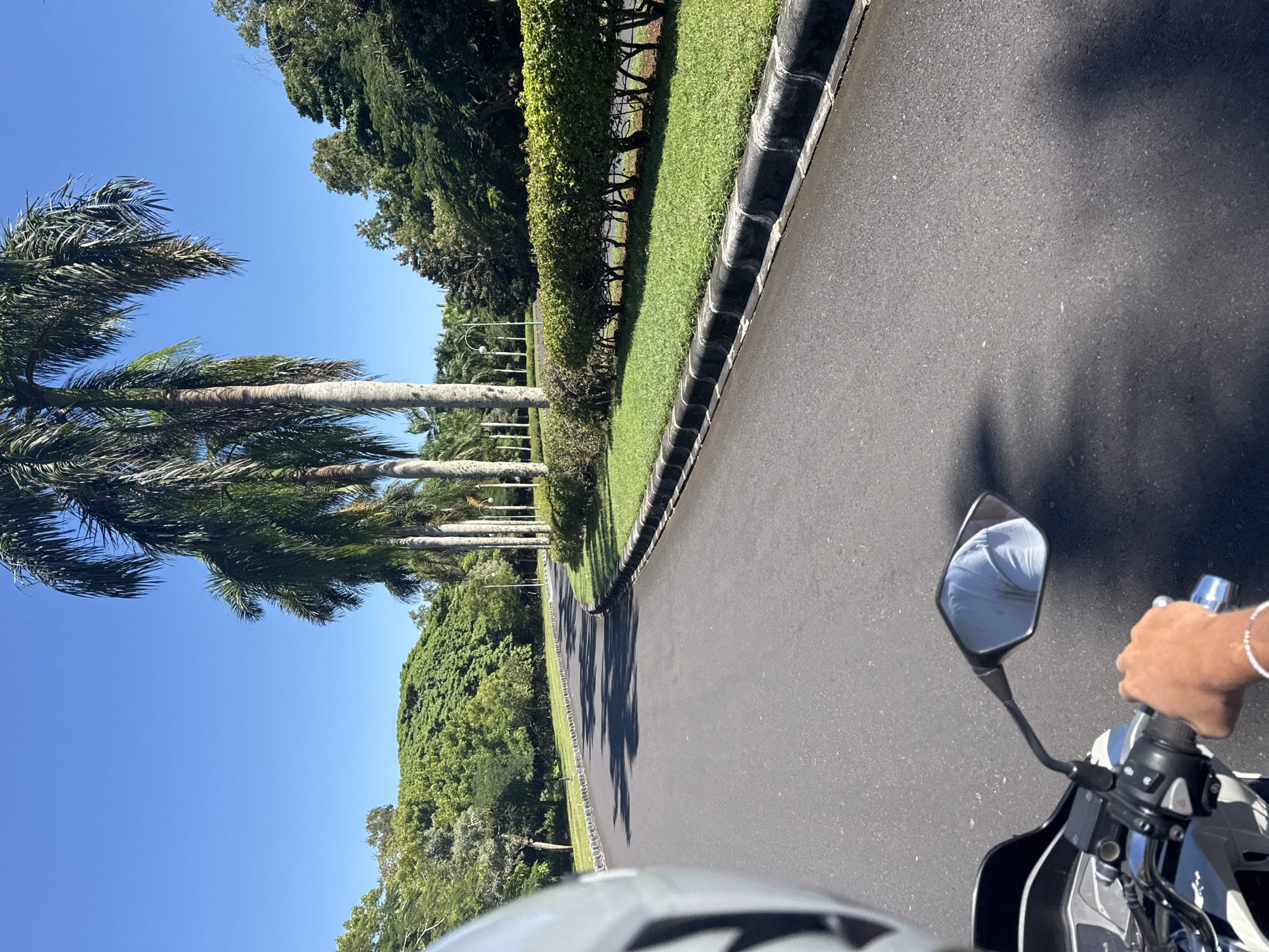 A person is riding a motorcycle on a paved road, lined with palm trees and manicured hedges, under a clear blue sky. The location is in the city of Unknown, Unknown. The motorcycle rider is wearing a helmet and a white t-shirt, which is reflected in the side mirror. The road is gray and smooth, with dark shadows cast by the trees. A black and gray border separates the road from the green grassy area and hedges. Palm trees line the left side of the road.
