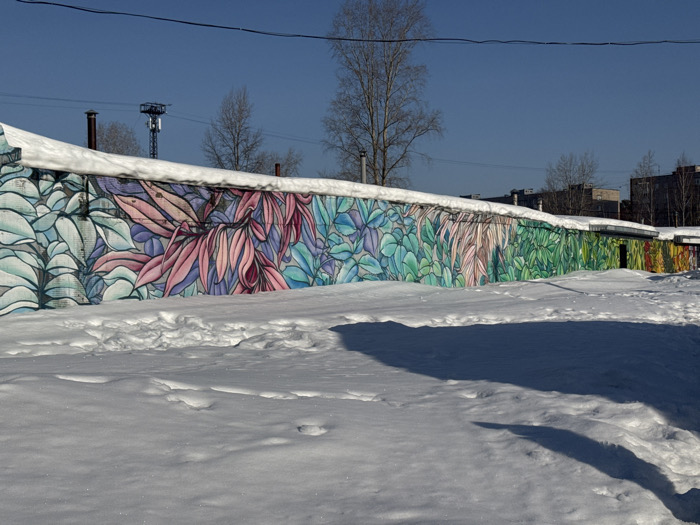 The scene depicts an outdoor winter environment in Chaikovsky, Russia, under a clear blue sky. A long, low concrete wall, approximately 2-3 meters in height, extends across the mid-ground, topped with a layer of white snow. This wall is covered with a vibrant mural featuring stylized botanical patterns, predominantly leaf motifs, in a chromatic gradient. The mural begins on the left with shades of light blue and teal, transitions through pinks, purples, and darker blues in the center, and progresses into various greens, culminating in hints of yellow and red on the far right. The rightmost section of the wall reveals multiple dark, rectangular openings, consistent with garage entrances, which are also adorned with colorful patterns.
The foreground is uniformly covered with white, undisturbed snow. Several distinct human footprints are visible in the snow in the mid-ground, extending from the left parallel to the wall. A prominent, elongated dark shadow from an unseen object, likely the wall itself or an adjacent structure, stretches across the snow in the foreground.
In the background, against the clear blue sky, several bare deciduous trees are visible. To the left, a tall, slender dark chimney stack and a metal lattice communication tower stand prominently. Further back, a row of multi-story residential buildings with flat roofs is discernible. Overhead utility lines span horizontally across the upper portion of the frame. No individuals are present in the image.