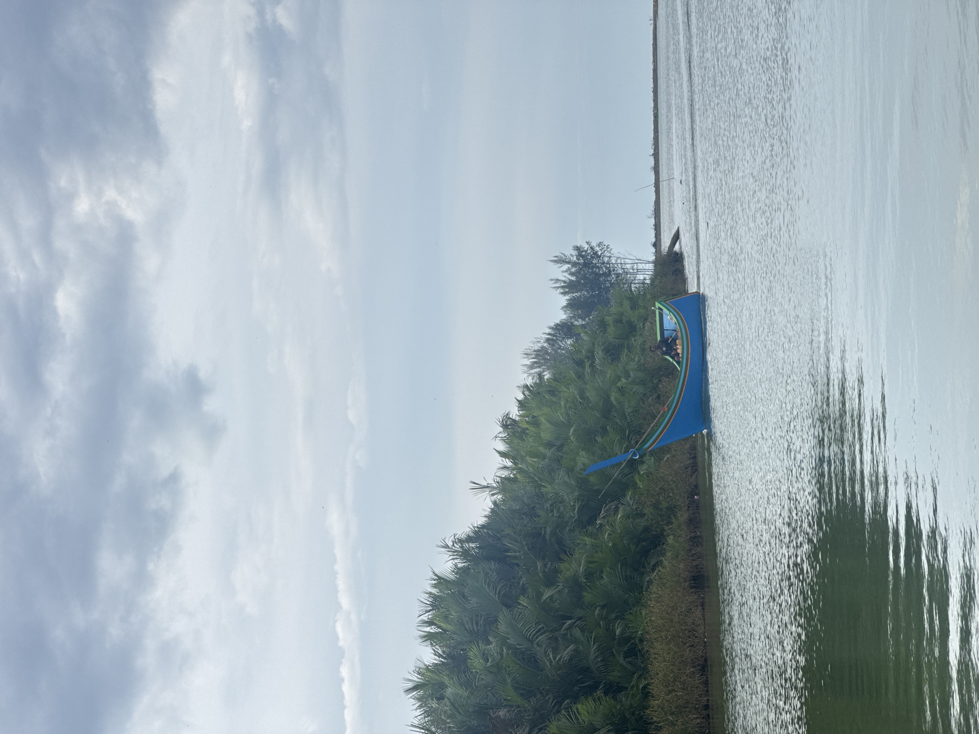 A blue and green fishing boat with a person on board is moored in a calm body of water. The boat has a distinctive pointed bow and stern, characteristic of traditional Indonesian fishing vessels. Lush green vegetation, likely mangrove trees, lines the shore behind the boat. The sky is overcast with muted grey clouds. The water reflects the cloudy sky and the surrounding greenery, creating a serene and slightly muted atmosphere. The scene appears to be a quiet coastal or riverine environment. The location is identified as Reudeuep, Indonesia.