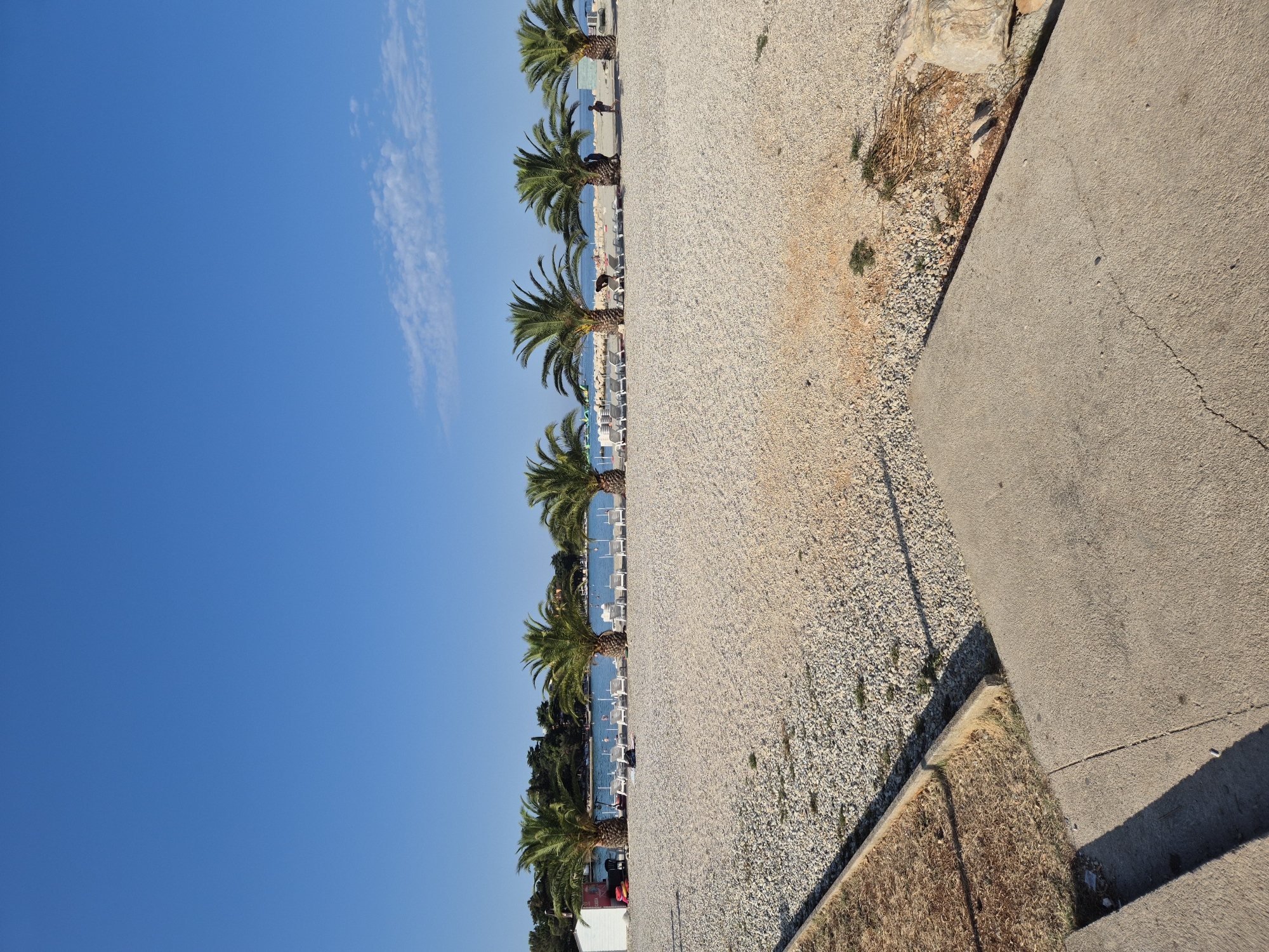 In Umag, Croatia, a pebble beach with scattered green shrubs is bordered by a concrete walkway in the foreground. The beach is lined with a row of palm trees, behind which lounge chairs are arranged. The calm, blue sea extends to the horizon, meeting a clear blue sky with a few wispy clouds. A small white building with a red roof is visible on the left side of the beach. Several individuals are present on the beach and in the shallow water.