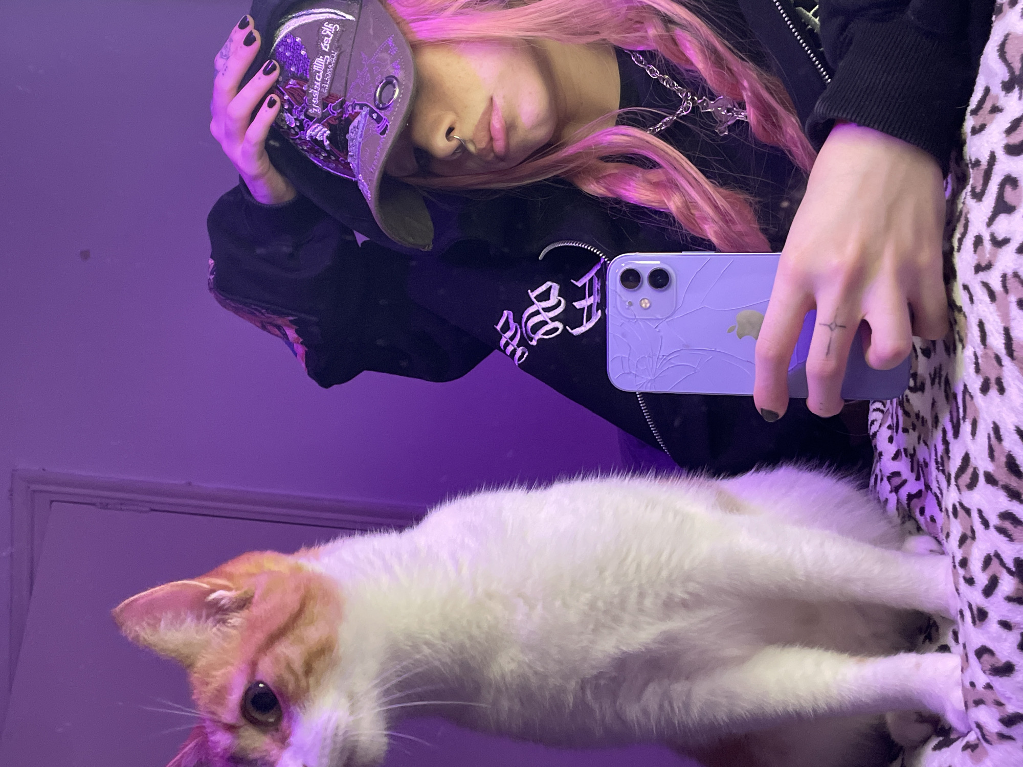 A person with pink hair and a hat poses with a cat in a bedroom with leopard-print bedding, while holding a purple iPhone with a cracked screen. The person is wearing a black zip-up hoodie with white text, and has a nose ring, visible tattoos, and dark nail polish. A silver chain is visible around the person's neck. The cat is white with orange markings. The room is lit with a purple light, and a portion of a door is visible in the background. The city of Buenos Aires, Argentina is not discernable from the image.