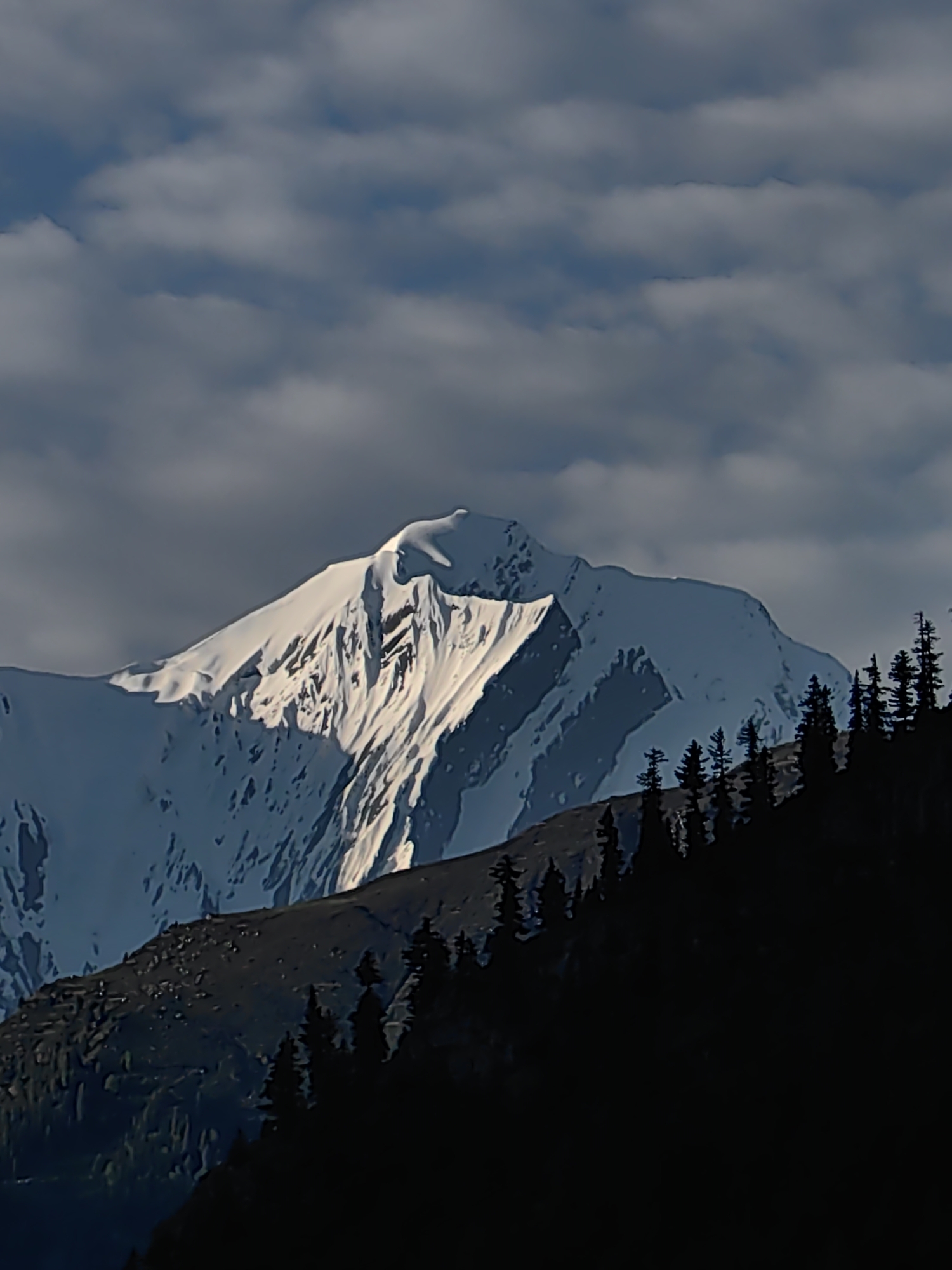The image depicts a snow-capped mountain peak against a cloudy sky. In the foreground, a dark, silhouetted ridge of pine trees is visible. The mountain is illuminated by sunlight, highlighting the textures of snow and rock. The sky is filled with textured clouds in shades of grey and blue. This is not an image of Udaipur, India, as the landscape is mountainous and covered in snow, which is not characteristic of Udaipur.