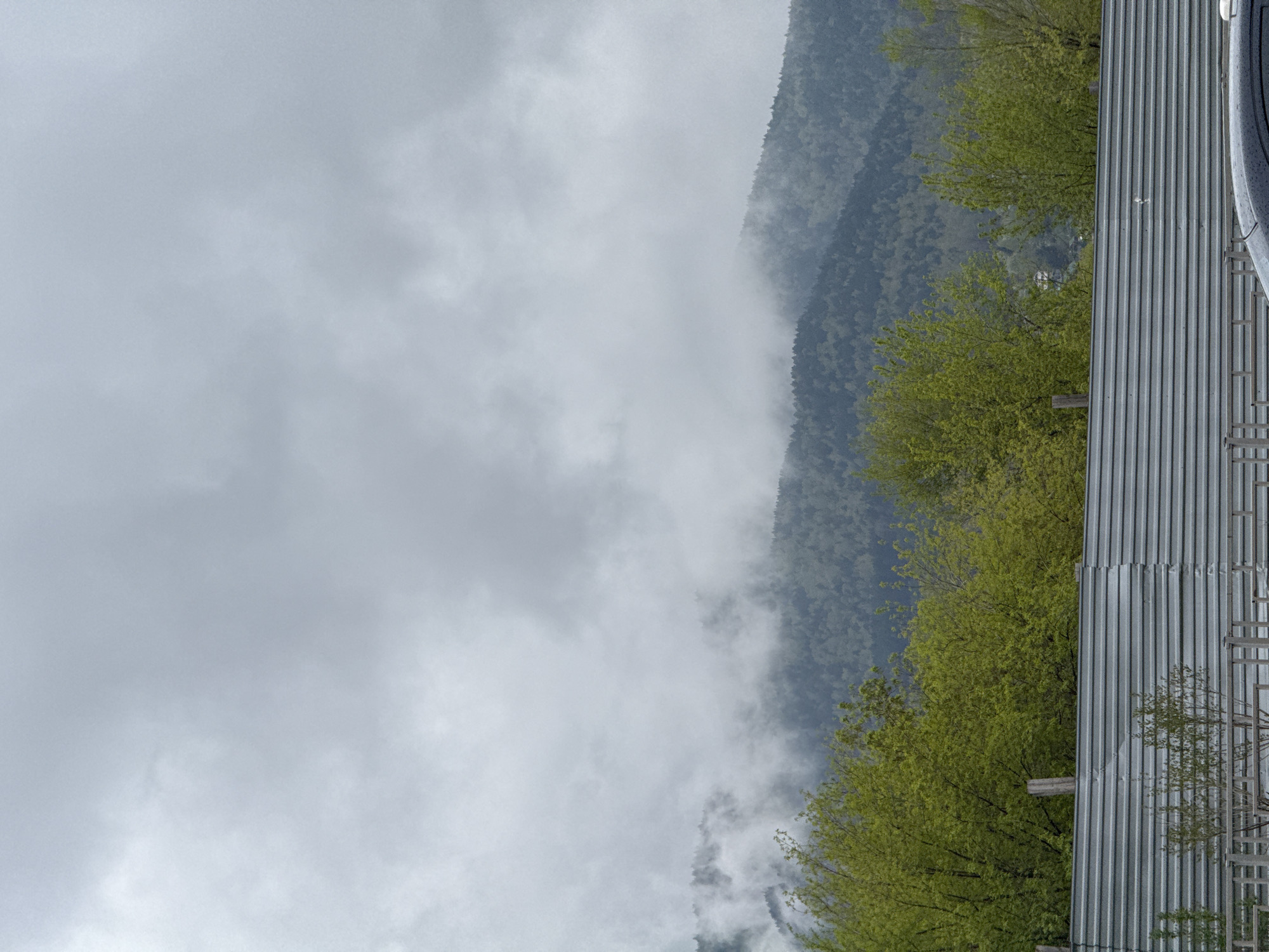 The image depicts a cloudy day with a mountain partially obscured by fog or clouds. Green trees with fresh foliage are visible along the right side of the frame. Part of a metal structure, possibly a fence or building element, is also visible on the right. While the image shows a mountain landscape, there is no specific information in the photograph to definitively confirm its location as Krasnoyarsk, Russia. Additional visual cues or context would be needed to verify that.