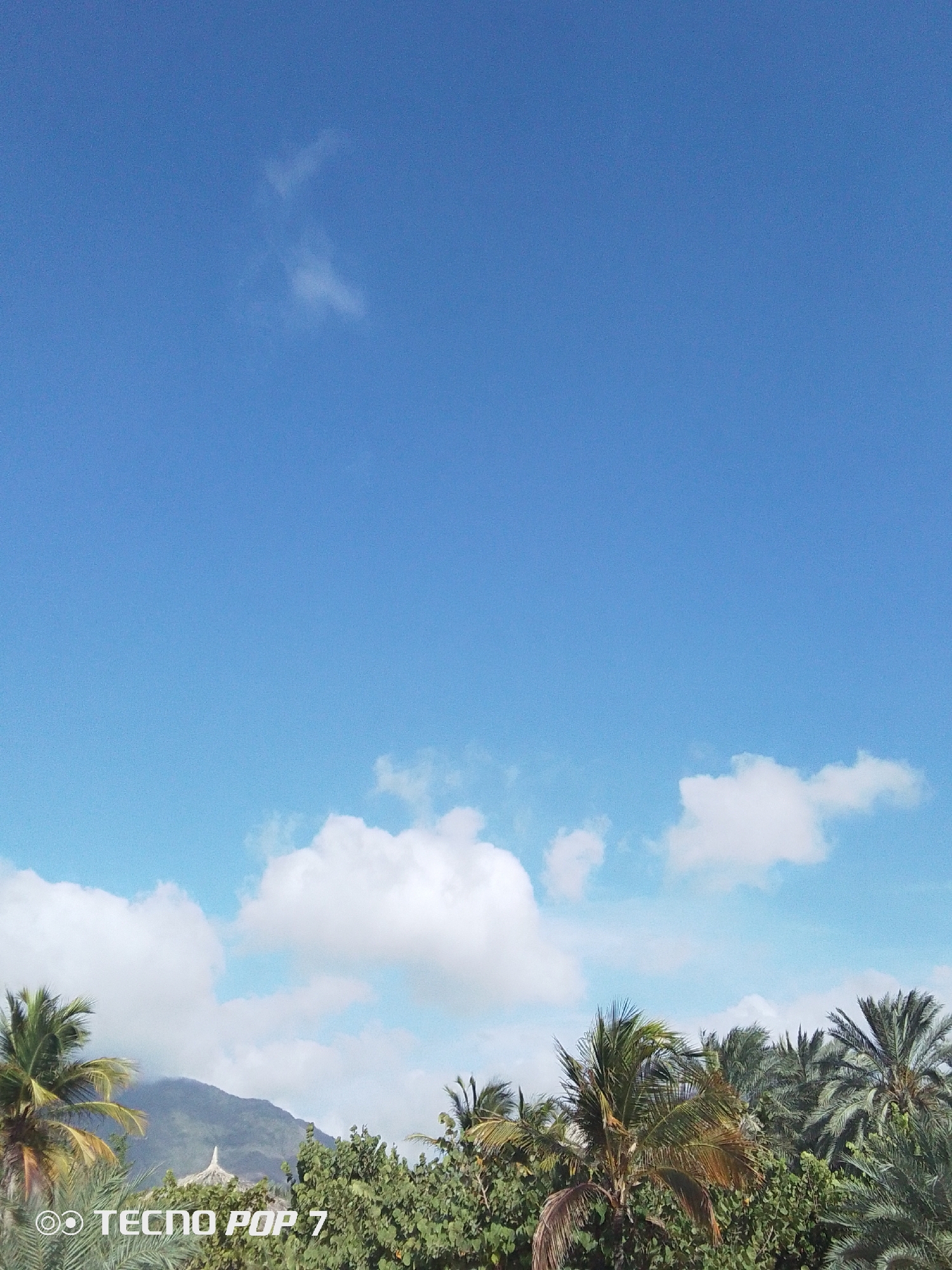 The image shows a clear, blue sky with a few scattered white clouds. In the lower portion of the image, there's a line of green trees, including palm trees, suggesting a tropical or subtropical environment. A mountain with a white structure on top of it can be seen in the left part of the image, partially obscured by trees.
Based on the given information, the location is Pedro González, Venezuela.