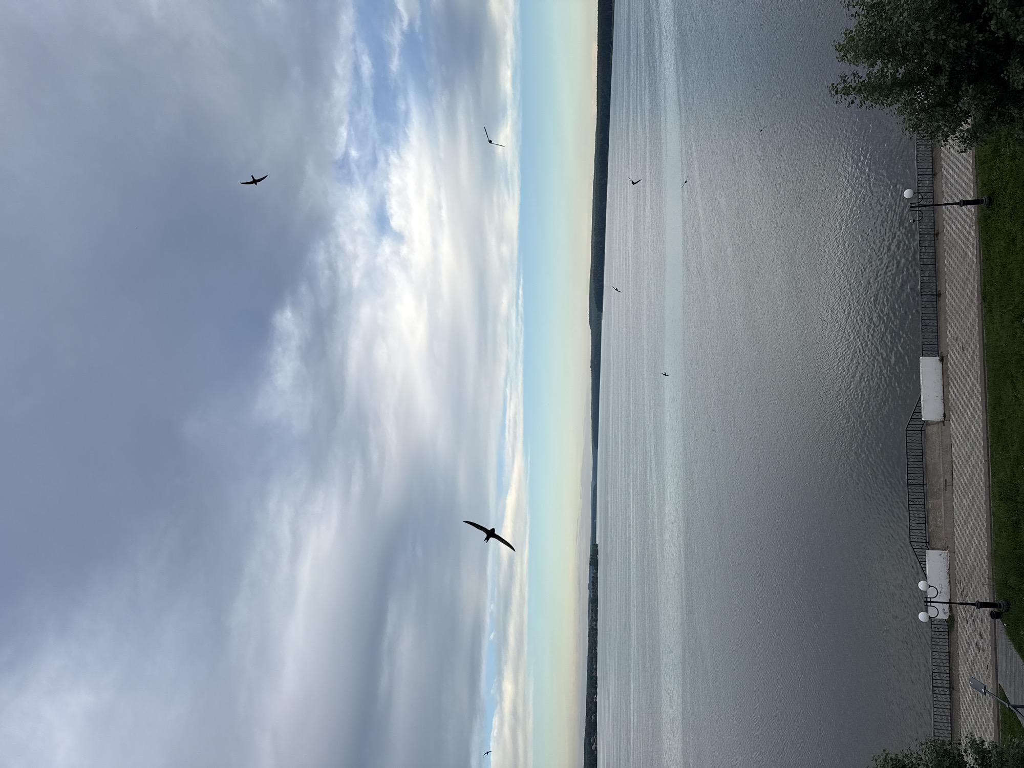 This image depicts a wide, calm body of water, likely the Votkinsk Reservoir, viewed from a slightly elevated position. The sky above is filled with dramatic, grey and white clouds, with patches of blue sky visible. Several silhouetted birds, possibly swallows, are captured in flight against the cloudy backdrop.
In the foreground, a paved walkway lines the edge of the water, separated by a decorative black metal fence. White structures, possibly retaining walls or part of a promenade, are visible along the walkway. Two ornate lampposts are positioned on the walkway, illuminating the area. The walkway itself is paved with a checkered pattern of grey and white tiles. Beyond the walkway, a strip of green grass is visible. The opposite shore of the body of water is lined with a dark, treeline, suggesting a forested landscape. The overall scene conveys a sense of peacefulness and natural beauty, common in Votkinsk, Russia, known for its scenic waterfront.