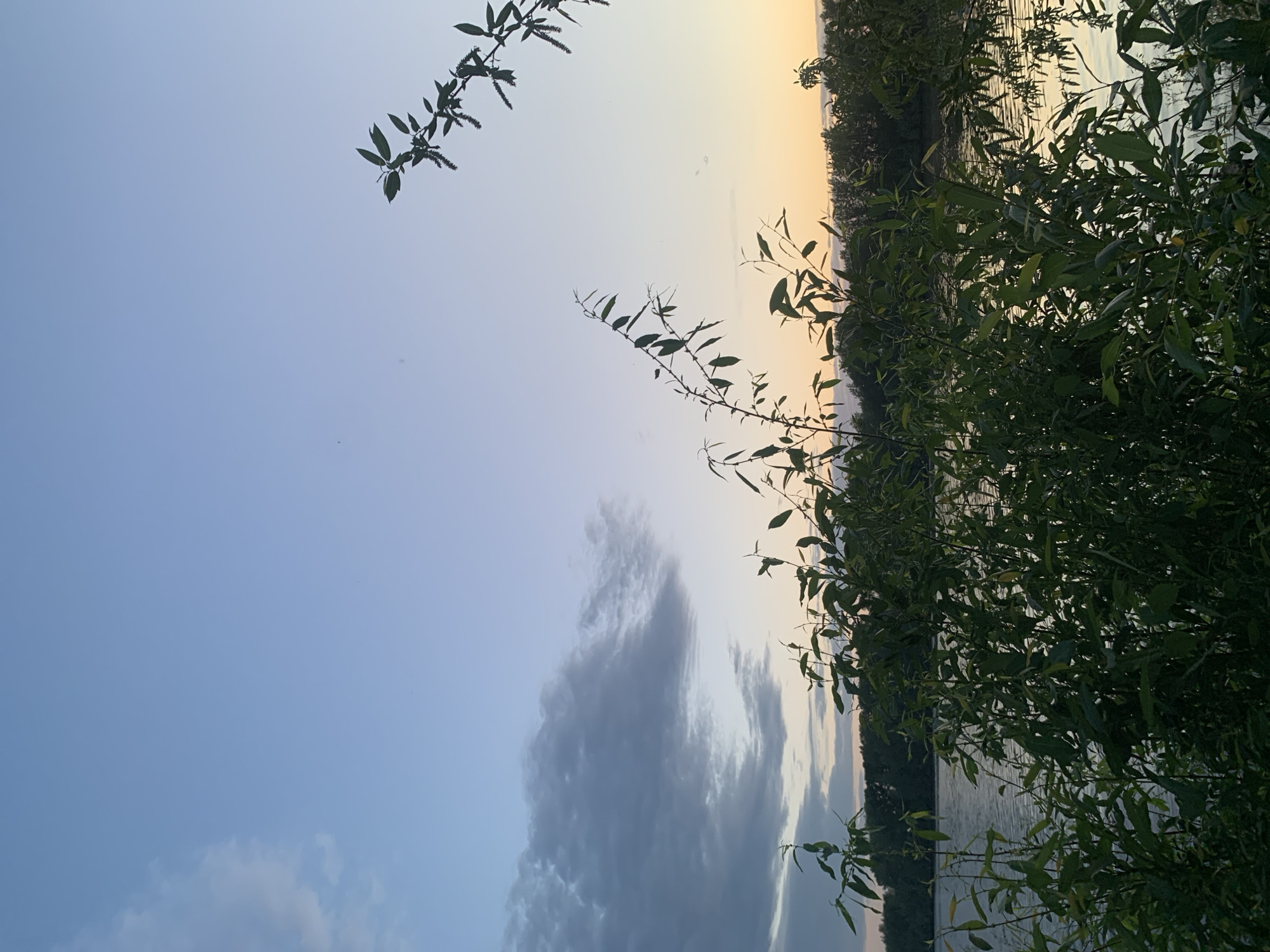 A landscape photograph depicts a sunset sky over a body of water, likely a lake or river, framed by foliage. The sky transitions from blue to orange, indicating the approaching dusk. A dark cloud formation is visible in the lower-left portion of the sky. The right side of the image is dominated by dense green vegetation, possibly trees or shrubs, with branches extending into the frame. The water reflects the colors of the sky. The photograph may have been taken in Chaikovsky, Russia. There is no discernible human activity, the scene mainly focuses on a natural environment.