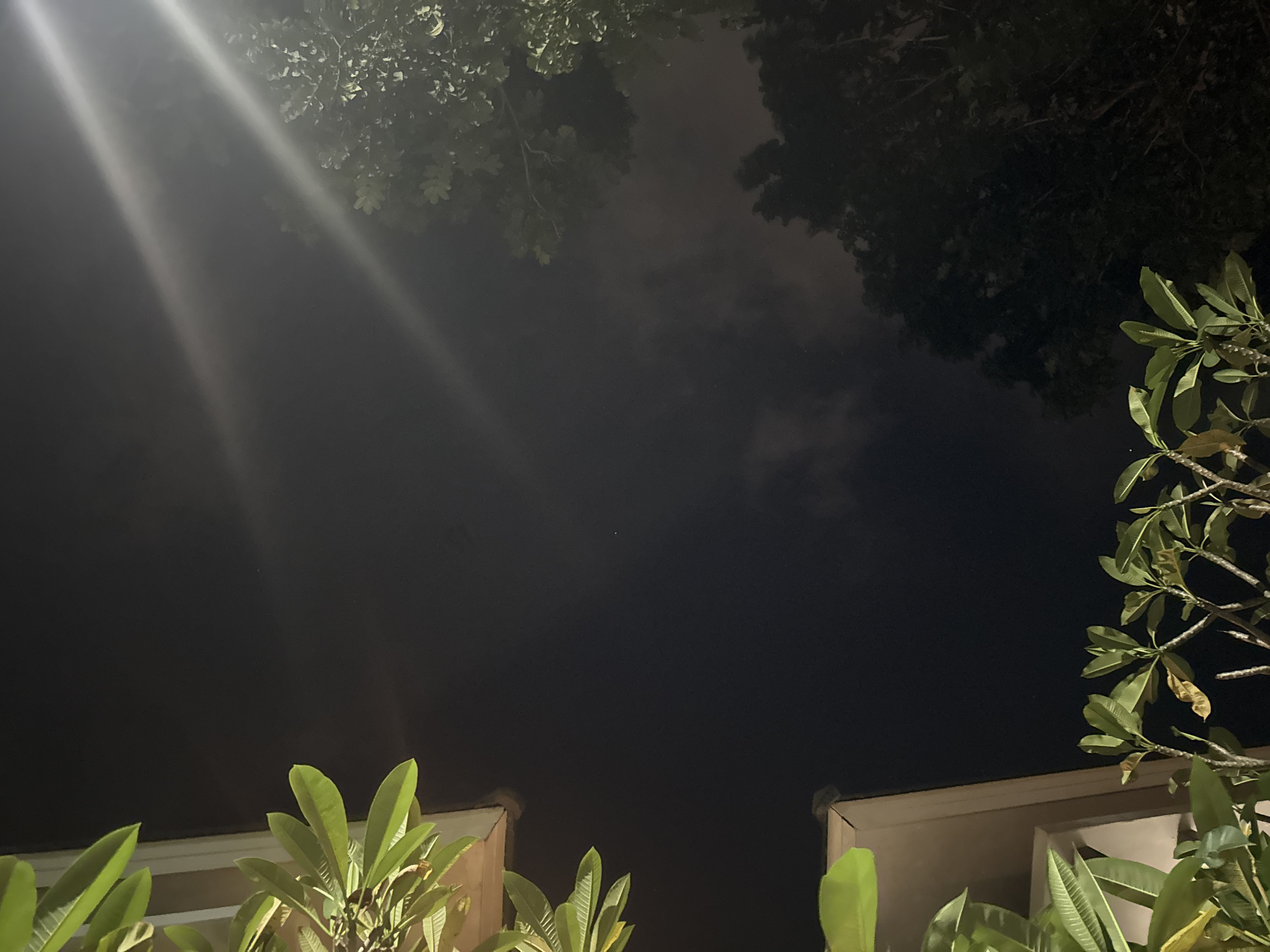 The image, likely taken at night in Kuta Selatan, Indonesia, features a low-angle view of the sky framed by vegetation. A diffuse light source, potentially a streetlight, emanates from the upper left, creating bright streaks against the dark sky. The sky itself is overcast with subtle cloud formations visible. Tree foliage occupies the upper and right portions of the frame, and lush green plants are seen near the bottom, situated in front of what appears to be the edges of buildings. No people are visible.