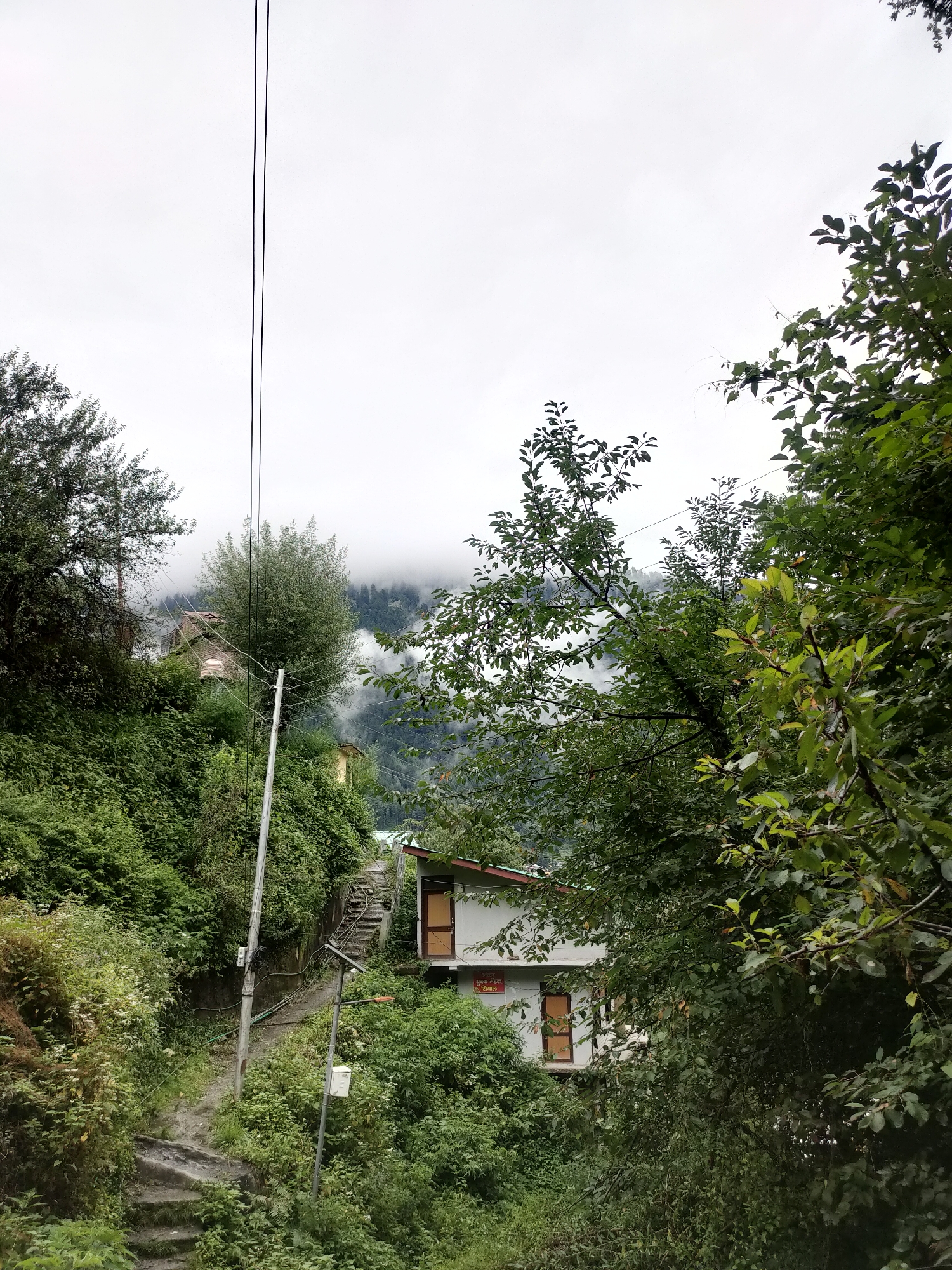 The image depicts a narrow, winding path through dense, lush greenery in Siyal, India. The path is made of stone steps and dirt, and it ascends a steep incline. On the right side of the path, a two-story building with white walls and brown doors is visible, partially obscured by trees. The building has a red-tiled roof and a sign with Hindi script above one of the doors. A utility pole with wires runs alongside the path, and another pole with a white box is situated further down. In the background, mist-shrouded mountains and trees create a serene, natural landscape. The sky is overcast.