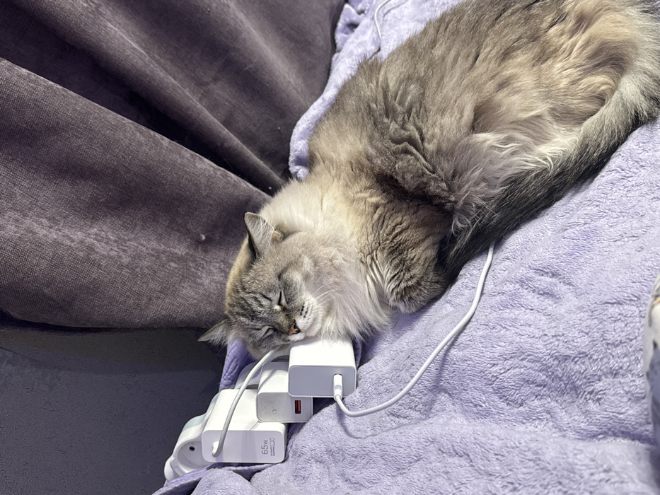 The image displays an indoor scene in Saratov, Russia. A domestic cat, exhibiting light brown and grey long fur, is observed sleeping on a textured, light purple blanket. The cat's head rests against a white rectangular power adapter, which is part of a cluster of similar white charging devices. One adapter is labeled "65W". Multiple white cables are connected to these adapters, extending onto the purple blanket. In the background, a dark grey, textured curtain is partially visible. The scene is illuminated by natural light entering from the left side of the frame.