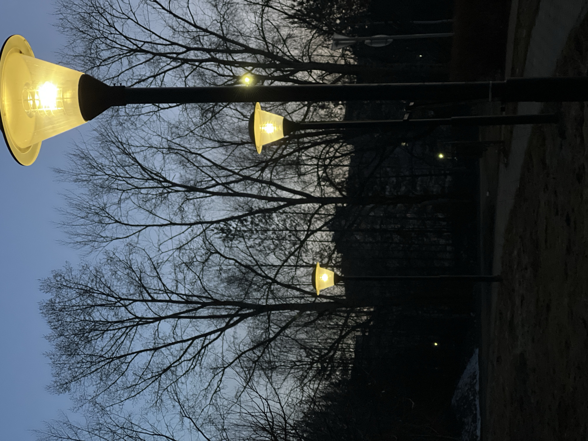 The image depicts a row of four lit street lamps in what appears to be a park or wooded area. The lamps are of varying distances from the camera, with the closest one featuring a prominent, bright, yellow glow within its translucent, rounded shade. The lamp posts are dark, likely black, and appear to be metal. The backdrop consists of bare tree branches against a darkening sky, suggesting either late evening or early morning. Behind the trees lies what appears to be a dark, possibly forested area or buildings. The bottom right corner of the image contains a patch of what looks like grass.