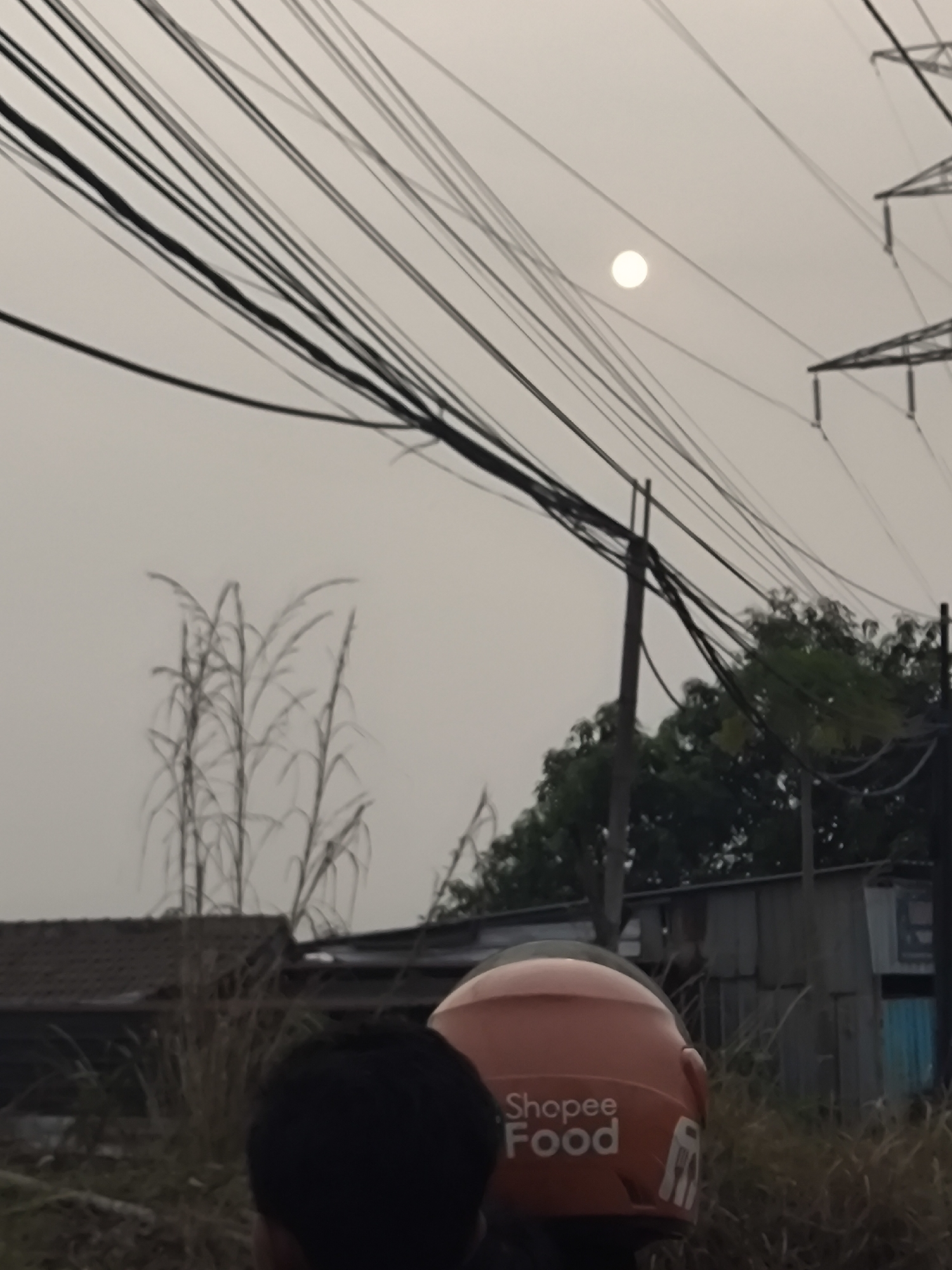 The image captures a hazy sky over Cilegon, Indonesia, with the sun visible as a small, bright orb. A dense network of electrical wires dominates the upper portion of the frame, casting shadows and crisscrossing the sky. In the foreground, the back of a person's head is visible, and they are wearing a bright orange helmet with "Shopee Food" printed in white lettering. Beyond this, tall, dry grasses are prominent, and a dark-tiled roof of a building can be seen. Further in the background, there are structures made of corrugated metal, suggesting a more industrial or informal settlement area. Trees with green foliage are also present, interspersed with utility poles and more wires, indicating an urban or semi-urban environment. The overall impression is one of a common, everyday scene, possibly taken from the back of a motorcycle in a somewhat overcast or dusty atmosphere.