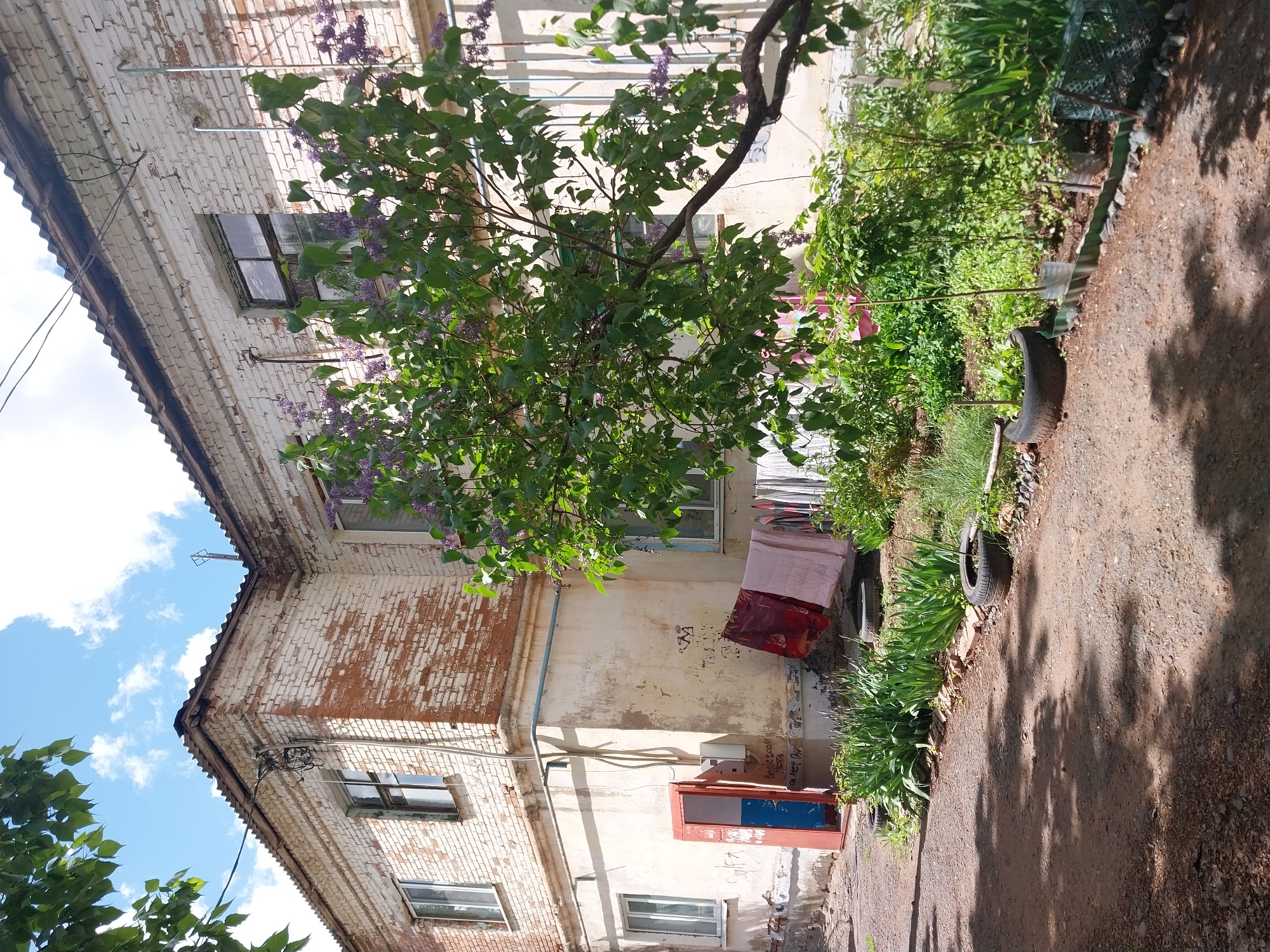 The image shows the exterior of a weathered brick building in Orenburg, Russia. The building's facade is a mix of white and reddish-brown brick, showing signs of age and wear. Several windows are visible, some with boarded-up or obscured views. A tree with green leaves and purple blossoms partially obscures the building. A dirt path runs along the side of the building, lined with vegetation, including a tire used as a planter. Clothes or fabric hang outside a window. The overall impression is one of urban decay and neglect. Graffiti is visible on the building's wall near a door painted in blue and red. Power lines run along the side of the building.
