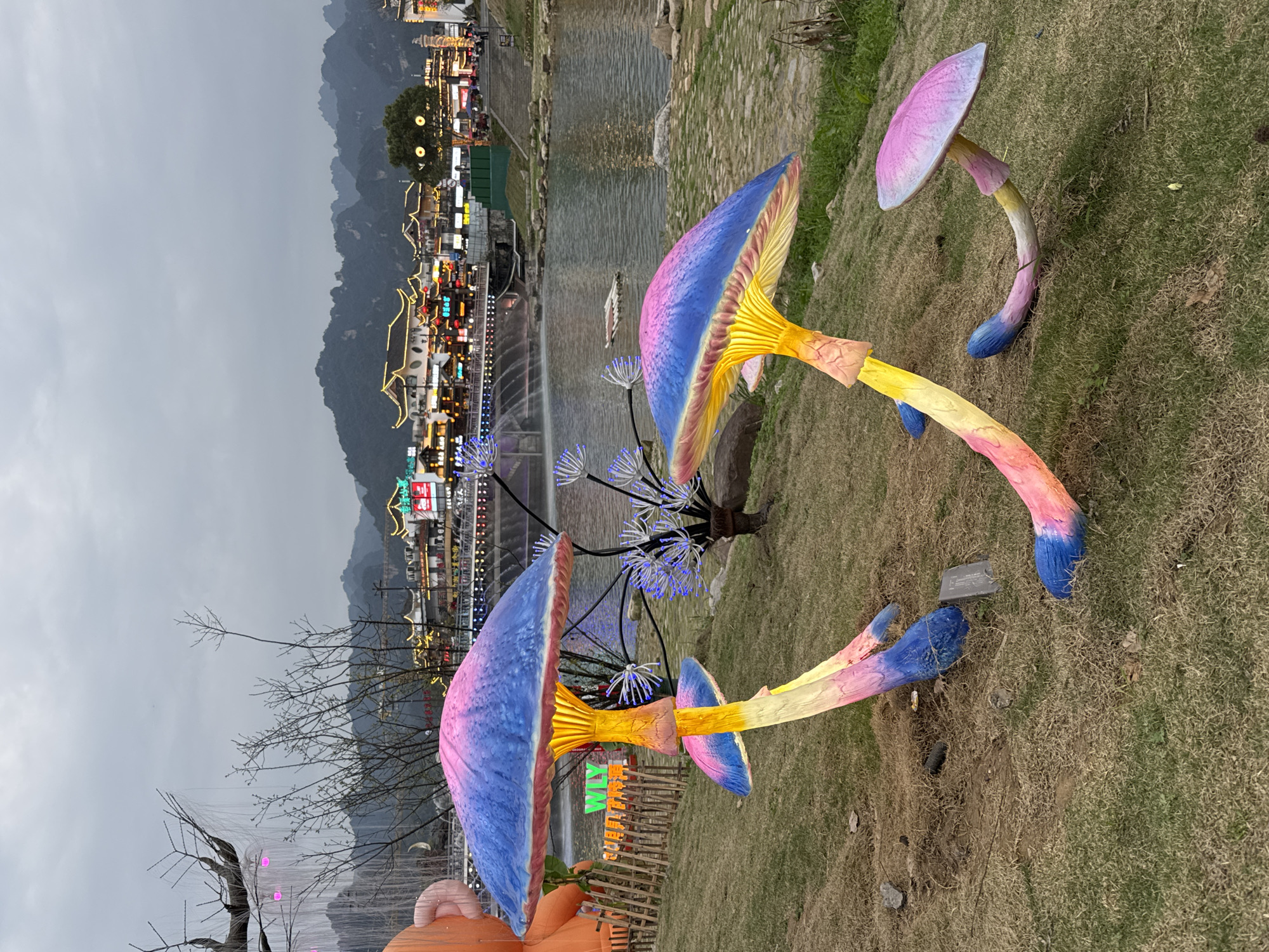 The image depicts an illuminated evening scene in Wulingyuan, China. In the foreground, a grassy bank displays three prominent, oversized mushroom sculptures. These sculptures are internally lit, casting a yellow glow from their gills and stems, while their caps transition in color from vibrant blue to pink. The largest mushroom stands centrally, with two smaller ones positioned to its rear and right. The grass beneath these sculptures appears dry and sparse in areas. To the far left, a portion of a large, orange inflatable figure is visible, alongside a segment of a short wooden fence. Bare tree branches, some adorned with small blue LED lights, rise behind the sculptures.
A body of water, likely a river or canal, occupies the midground, separating the foreground from a densely built townscape on the opposite bank. A bridge spans the water, featuring a visible waterfall or fountain cascade. The town buildings exhibit traditional Chinese architectural elements, characterized by multiple tiers and upturned eaves, and are extensively outlined with warm yellow and multicolored neon lighting. Numerous illuminated signs, including one displaying "WULY" in green neon, are prominent. Stone steps descend to the water on the far bank. A small, light-colored rectangular object floats on the water's surface. The background features a dramatic range of dark, rugged mountains, their peaks silhouetted against a uniform, overcast grey sky. No individuals are clearly visible within the frame.