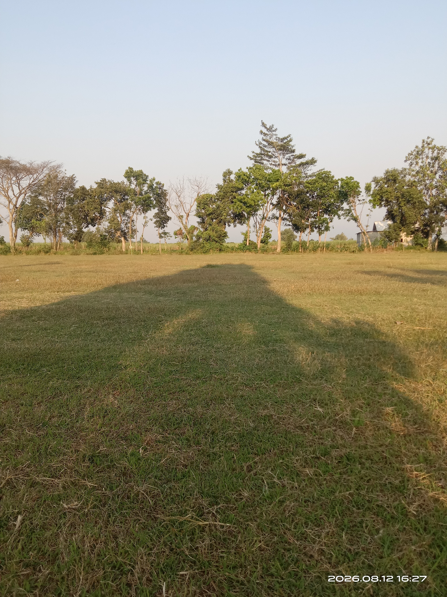 The image depicts a grassy field in Japanan, Indonesia. The field is mostly covered in short, dry grass with patches of greener grass. A large, dark shadow from an unseen object stretches across the field from the left side of the frame, indicating it is daytime. In the background, a line of trees with varying foliage forms a border along the horizon. Some of the trees are deciduous, showing bare branches, while others are evergreen with dense green leaves. Beyond the trees, a small, light-colored building with a dark roof is partially visible. The sky is clear and light blue, suggesting fair weather. The timestamp "2026.08.12 16:27" is overlaid on the lower right corner of the image. There are no people or animals visible in the scene.