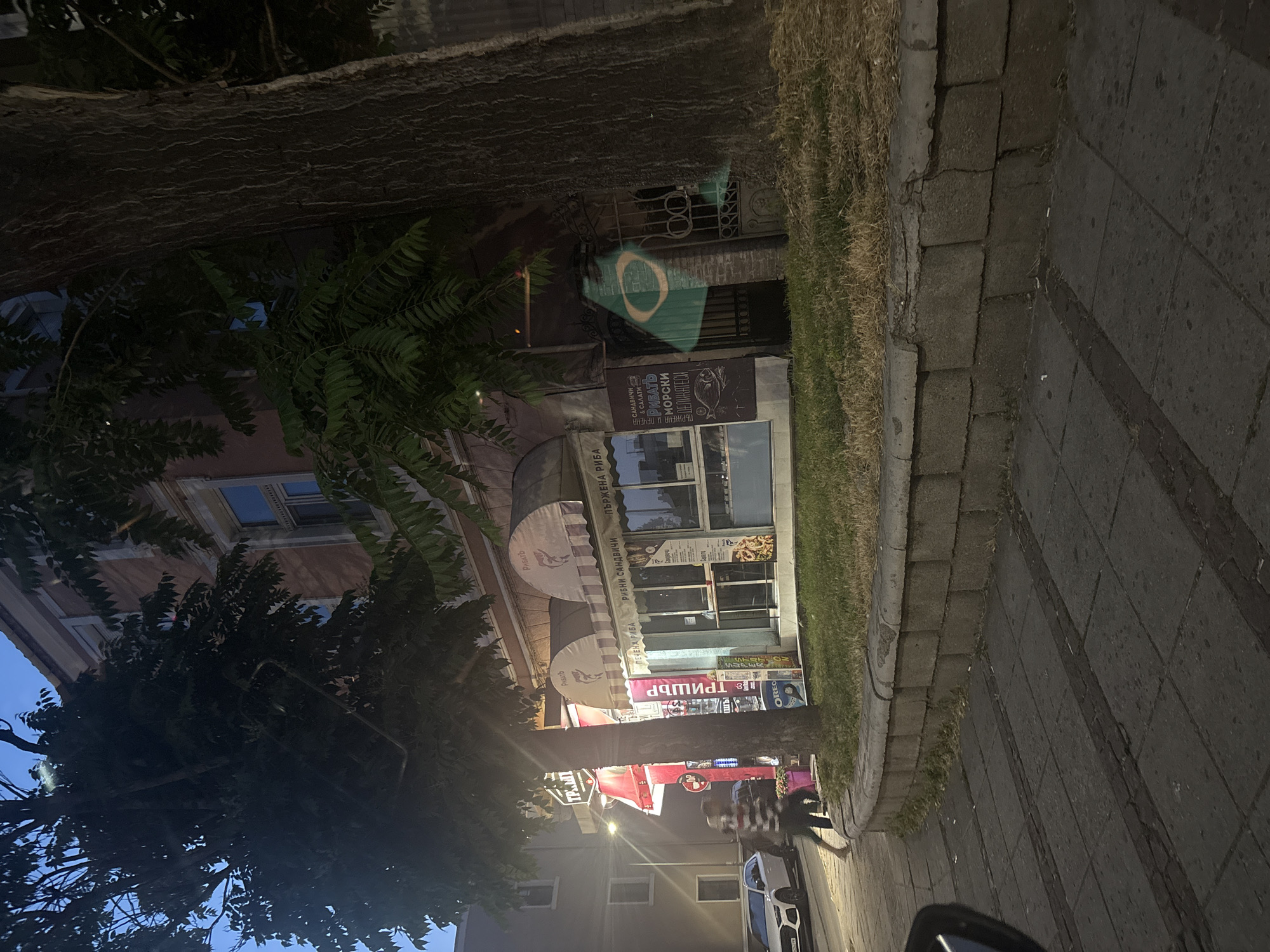 The image depicts a street scene at dusk in Burgas, Bulgaria. A building with a pinkish-brown facade occupies the background, featuring multiple windows and an awning over a storefront. The storefront appears to be a food establishment, with signs in Cyrillic indicating it sells "FISH SANDWICHES" and "SEAFOOD DELICACIES." A tree with a thick trunk stands prominently in the foreground, partially obscuring the view of the building and a metal gate. A portion of a Brazilian flag is visible, projected onto the wall near the gate, likely from a nearby light source.
In the mid-ground, a white car is parked on the street. Two individuals are walking on the sidewalk, one of whom is wearing a horizontally striped shirt. The sidewalk is paved with square tiles, and a low, stone-block retaining wall separates it from a patch of dry grass. The overall lighting suggests it is late evening, with artificial lights illuminating parts of the scene. The presence of cigarette butts on the sidewalk indicates public use. The building's architecture and the Cyrillic script on the signs strongly suggest a location in Eastern Europe, consistent with Burgas, Bulgaria.