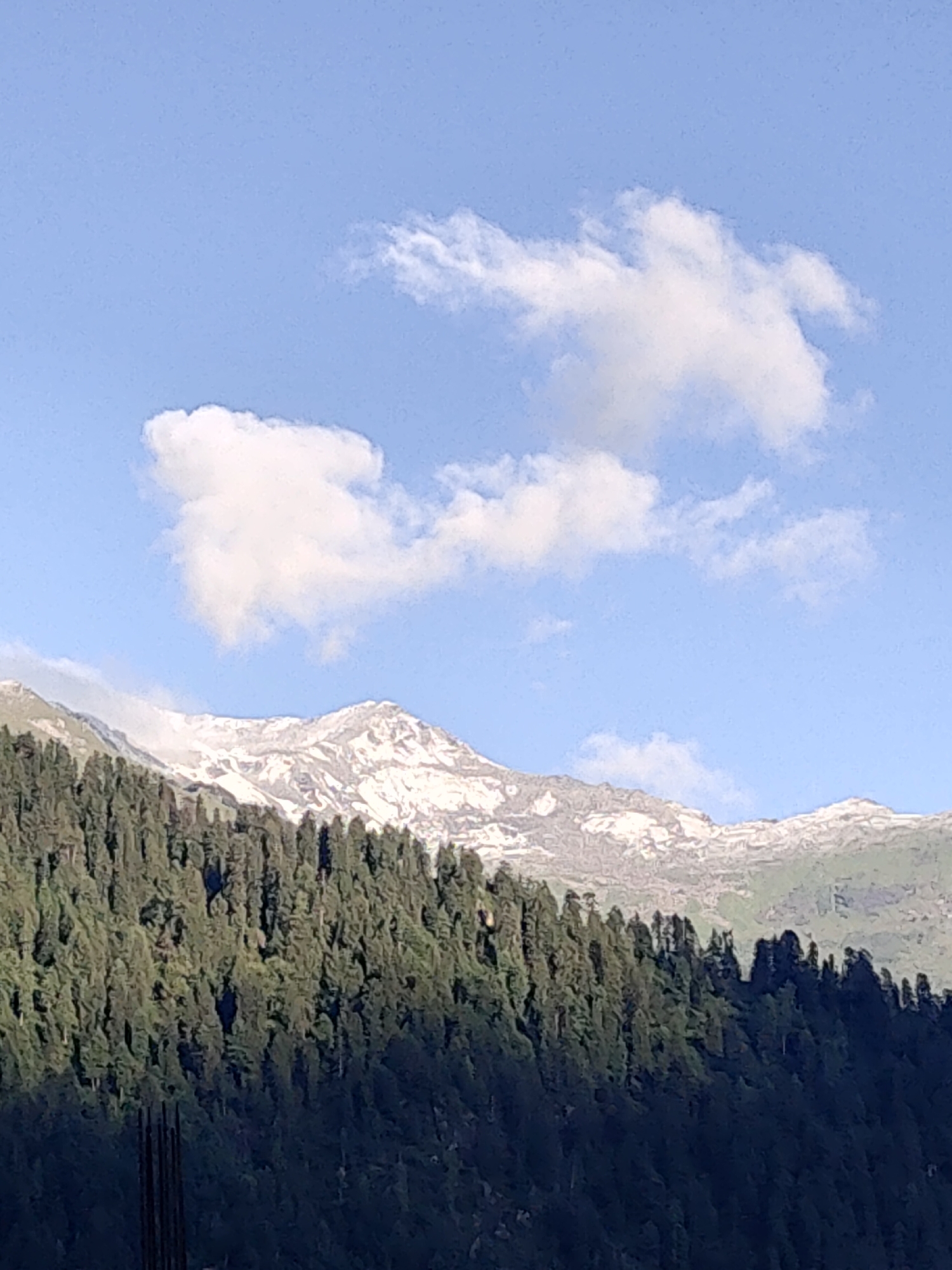 A wide shot captures a majestic mountain range under a bright blue sky with scattered white clouds. The lower slopes of the mountains are densely covered with dark green pine trees, forming a thick forest. Higher up, the peaks are partially covered in snow, contrasting with the rocky terrain. In the foreground, the lower portion of the image shows a dark, shadowed area with some vertical dark poles, suggesting construction or a structure. The scene appears to be a natural landscape, likely in a mountainous region, with no people or animals visible.