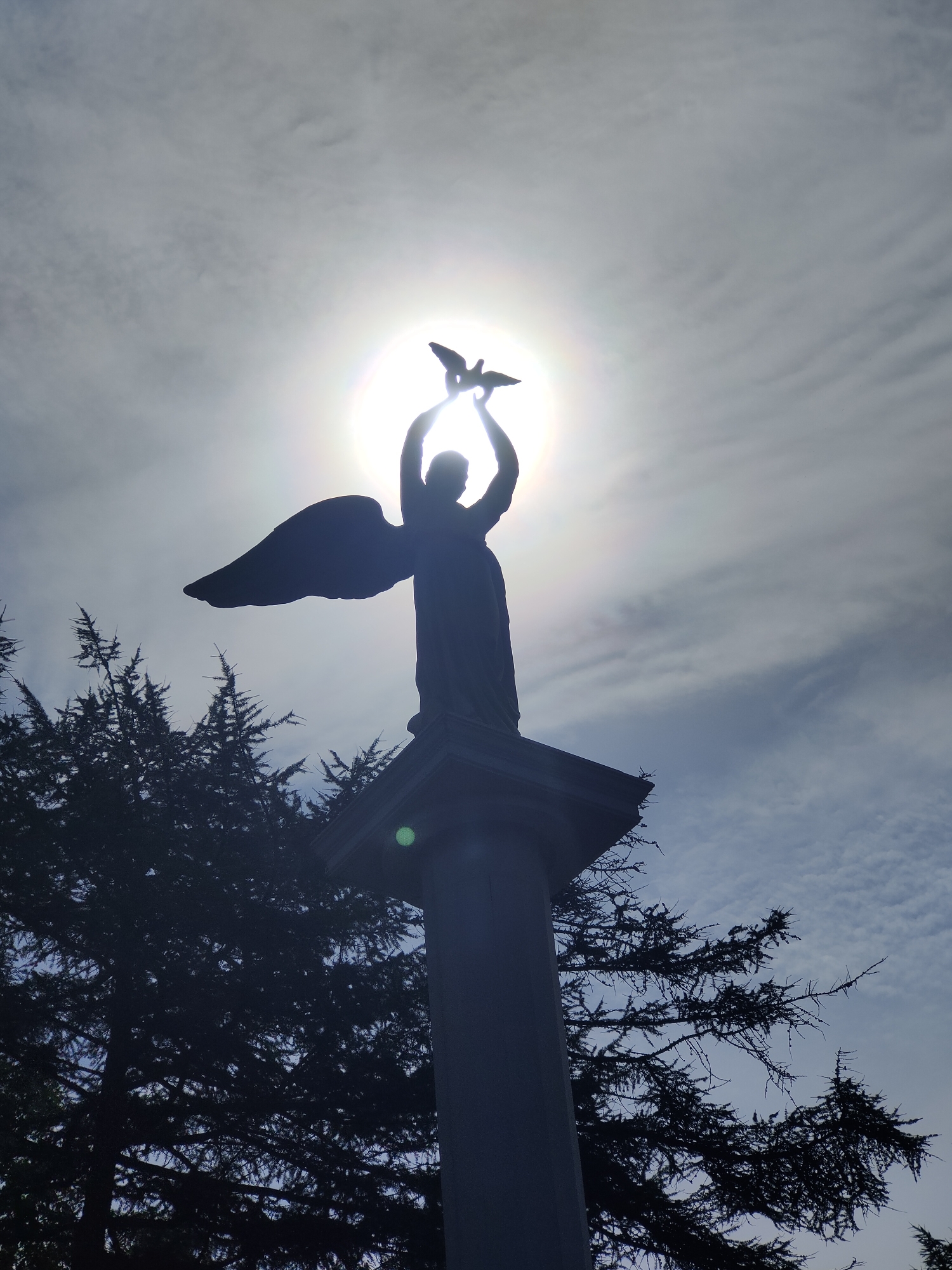 A silhouetted angel statue stands on a pedestal against a bright, sunlit sky with wispy clouds. The angel holds a bird in its outstretched hands. Dark evergreen trees are visible on the left side of the frame, with their branches extending upwards. The sun is directly behind the statue, creating a lens flare effect. The overall scene is reminiscent of a cemetery or memorial. The location in Magadan, Russia is not discernible from the image itself.