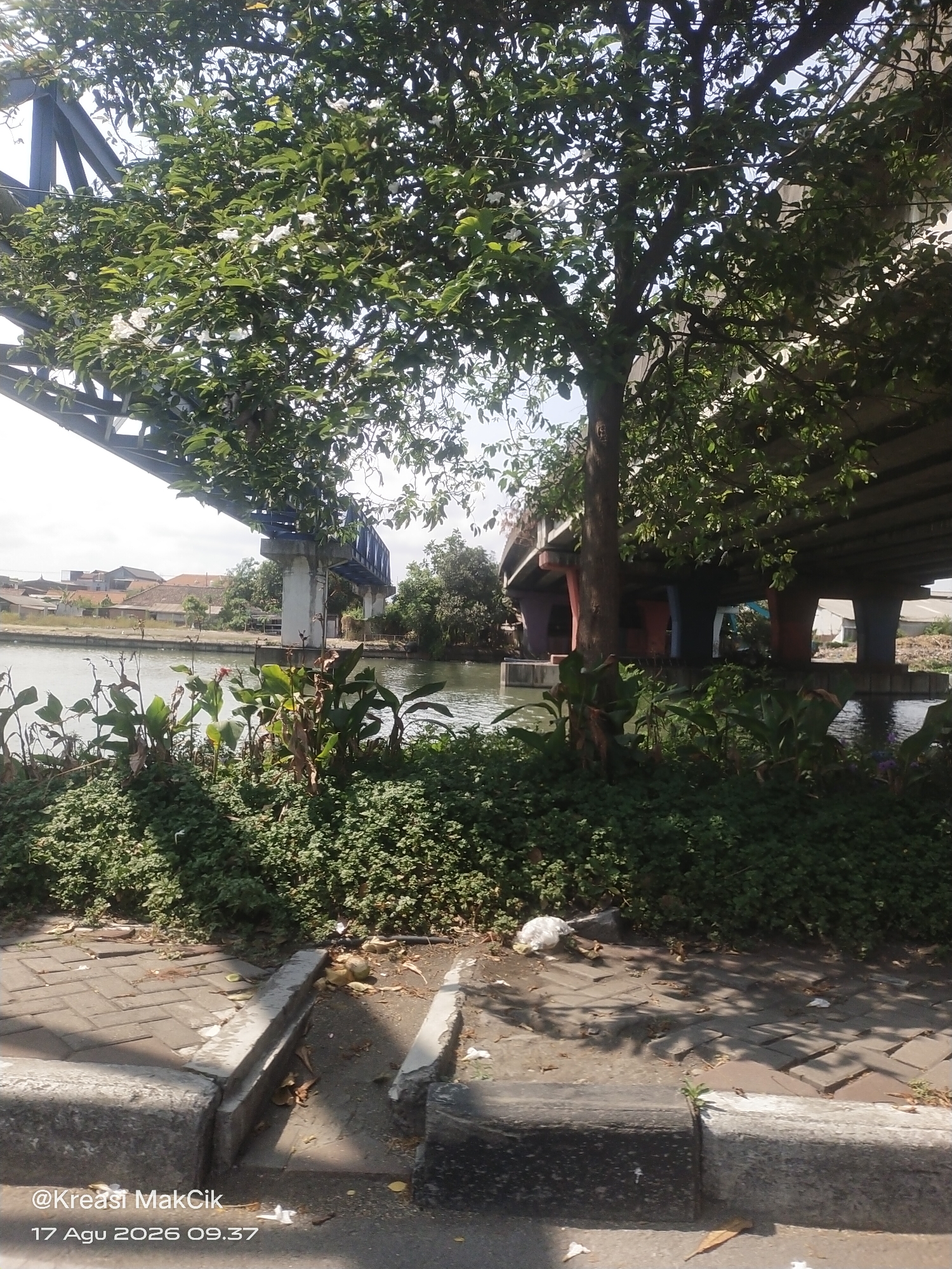A wide-angle, low-angle outdoor shot captures a view of a river with a tree and bridge in the foreground and middle ground. The river is calm and reflects the sky. A large tree with lush green leaves dominates the right side of the frame. In the background, a modern bridge with blue accents spans across the river. Several concrete pillars support the bridge. Beyond the bridge, residential buildings with red-tiled roofs are visible. The foreground shows a paved walkway with interlocking bricks and a concrete curb. The scene is illuminated by bright sunlight, casting shadows on the ground. A piece of white trash is visible on the walkway near the curb. The text "@Kreasi MakCik 17 Agu 2026 09.37" is superimposed on the bottom left of the image. The location is identified as Surabaya, Indonesia.