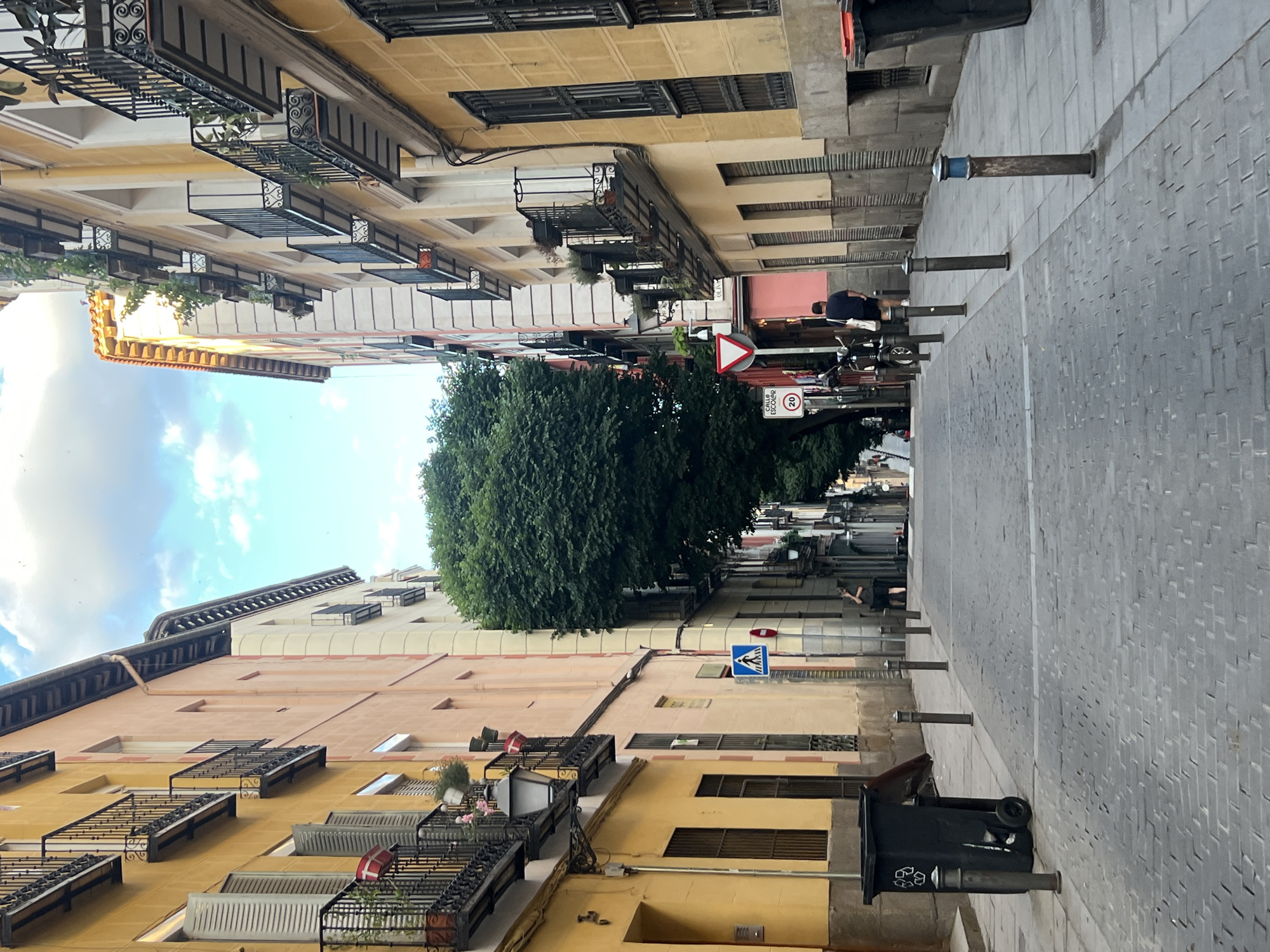 This image captures a vibrant street scene in Madrid, Spain, showcasing typical European urban architecture and a pedestrian-friendly environment. The perspective looks down a narrow street or pedestrian walkway, flanked on both sides by multi-story buildings.
The buildings feature facades primarily in warm tones of yellow and beige, with some sections in reddish-brown. Many windows are adorned with dark, ornate wrought-iron balconies, some of which hold potted plants, adding greenery and character. The roofs display traditional tiling and architectural detailing.
The ground level is paved with grey, patterned blocks, common in European pedestrian areas. Several dark metal bollards are spaced along the pavement, with one featuring a distinct blue cap. In the foreground on the right, a black wheeled trash can with a white recycling symbol is visible.
Lush, dense green trees are prominent in the middle ground, forming a canopy that shades a section of the street, suggesting a tree-lined segment or small park area.
Several traffic signs are present. A red and white triangular yield sign is clearly visible on the right. Below it, a round white sign with a red border specifies a "20" km/h speed limit and includes the text "CALLE ESCOLAR," indicating a "School Street." Other blue signs, one with a white arrow and another with a white pedestrian symbol, are also part of the street furniture.
A few individuals are visible within the scene. One person, dressed in a dark shirt and light pants, stands near a bicycle close to the trees and signs, partially obscured. Another figure is seen further down the street in the distance. There is no specific activity highlighted beyond people being present in the street environment.
The scene takes place during the daytime, under a bright blue sky with scattered white clouds, suggesting pleasant weather. The architecture, street design, and the Spanish text on the signs ("CALLE ESCOLAR") firmly place the setting in a Spanish city, specifically Madrid as provided by the context. The overall atmosphere is calm and typical of an urban European day.