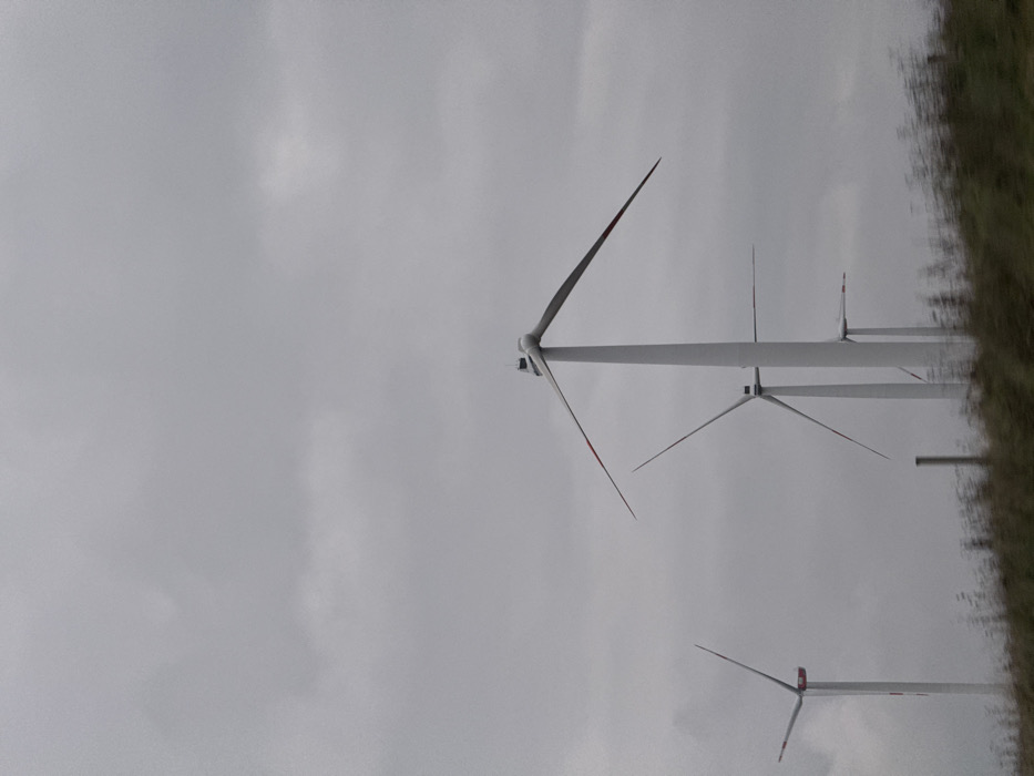 The image displays a rural landscape near Dornstadt, Germany, under an overcast sky. Four prominent wind turbines are visible, characterized by white towers and three blades each. The blades feature red tips. The turbine in the immediate right foreground has its blades oriented in an upward V-shape. Other turbines are situated further in the background. A smaller, partially obscured wind turbine is discernible in the far background to the right. The foreground shows a blurry strip of green and brown vegetation, consistent with a field or hillside, with a single dark vertical post positioned to the left of center. The sky is uniformly light grey and overcast, lacking distinct cloud formations. No individuals, animals, or discernible actions or interactions are present in the frame.