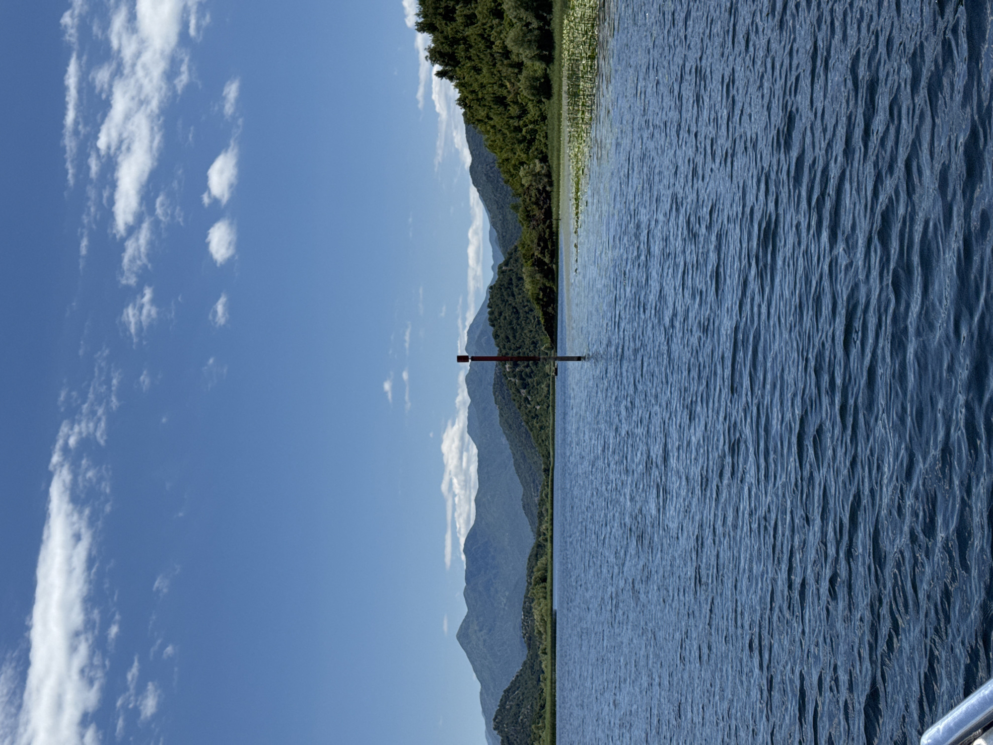 A medium-shot, eye-level, vertical photograph captures a tranquil lake scene under a bright blue sky scattered with fluffy white clouds. The water in the foreground is a deep blue, rippled by a gentle breeze. In the mid-ground, a thin, red-topped pole stands vertically in the water, serving as a marker. To the right of the pole, a dense patch of water lilies covers the surface of the lake. The background is dominated by lush, green, tree-covered hills that recede into a range of majestic, blue mountains under the expansive sky. The overall atmosphere is one of natural beauty and serenity.