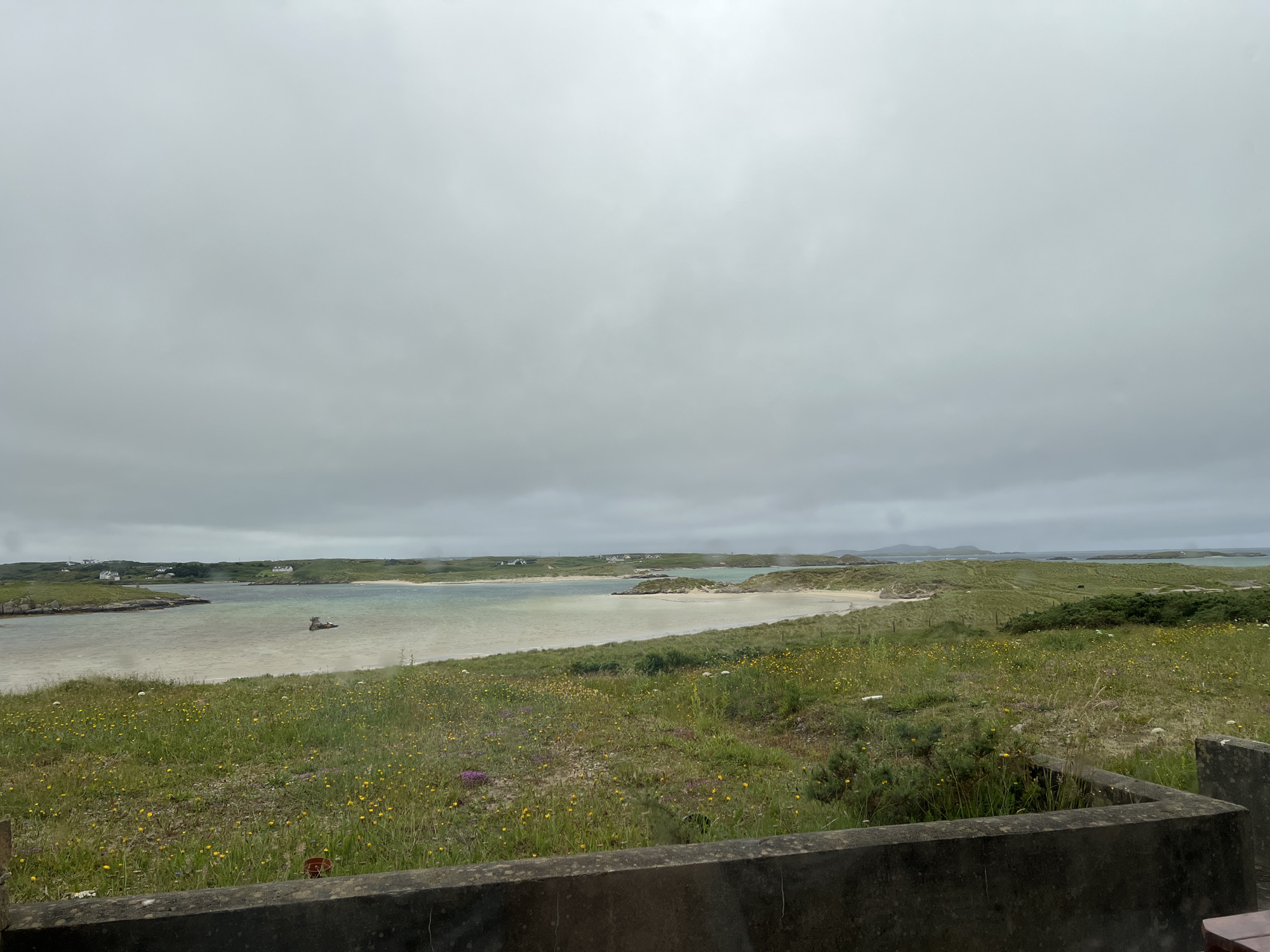 This image depicts a wide-angle view of a coastal landscape, likely in or near Bunbeg, Ireland, under an overcast sky. In the foreground, a weathered concrete structure, possibly a low wall or the edge of a building, runs horizontally across the bottom of the frame. Beyond this structure, a grassy field dotted with numerous small yellow and purple wildflowers stretches towards the water. The field appears to be a natural, untamed environment.
The middle ground features a tranquil body of water, likely a bay or inlet, with a sandy beach visible on the far side. The water exhibits a gradient of colors, from shallow, lighter turquoise near the shore to a deeper blue further out. A small, dark object, possibly a boat or a cluster of rocks, is present in the water. In the background, rolling green hills covered in grass and some vegetation rise from the coastline. Several small white buildings, consistent with rural residences, are scattered across these hills. The horizon is marked by the meeting of the sea and the sky, with the latter being uniformly gray and cloudy. There are no visible people in the image, nor any clear indication of specific activity. The overall scene conveys a sense of peaceful, rural, and natural coastal beauty.