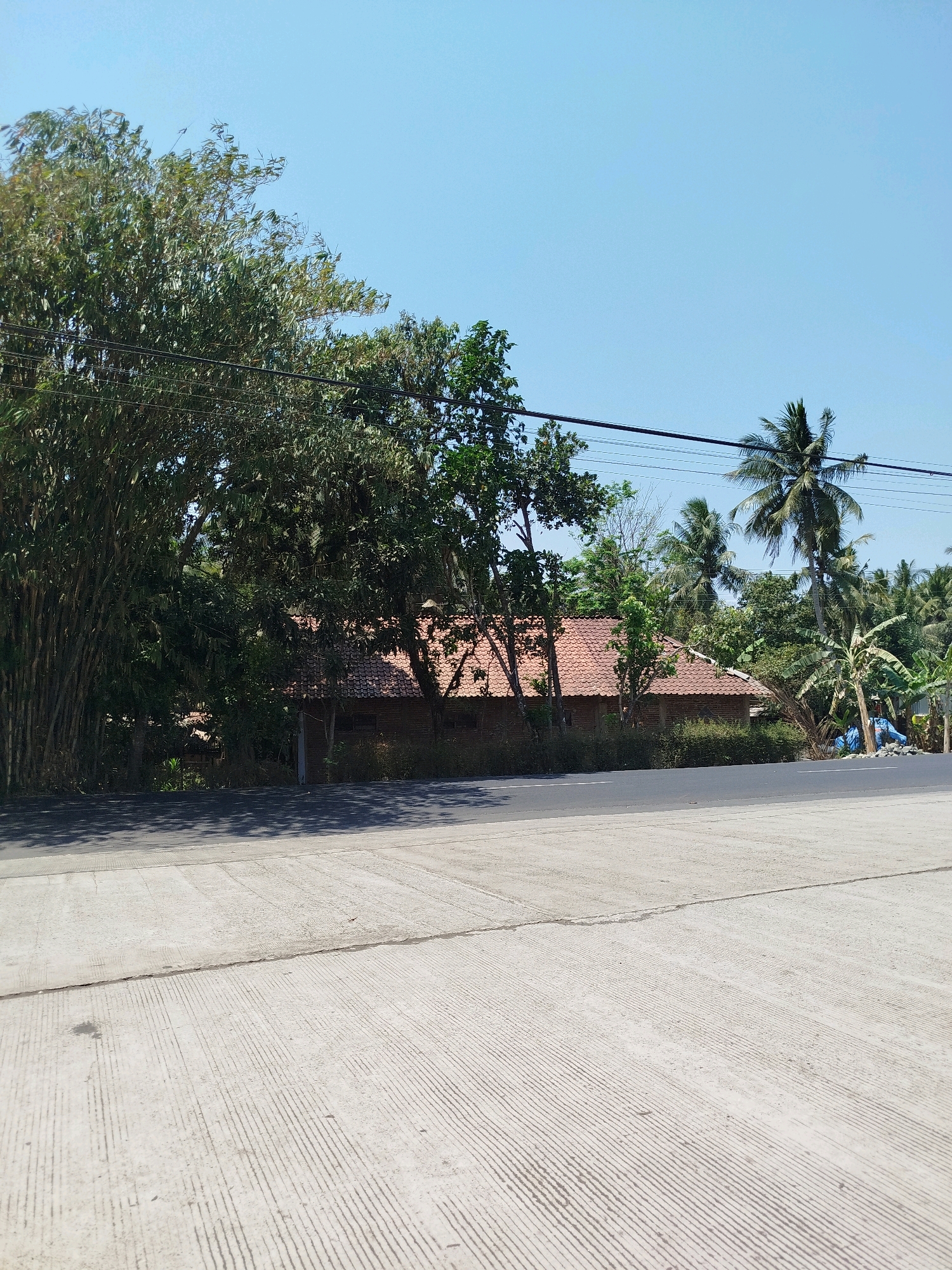 The image depicts a clear sky over a road in Bocor, Indonesia. The road is made of light-colored concrete with a textured surface. To the left of the road, there is a dense cluster of bamboo trees, casting shadows onto the road. Behind the bamboo, a house with a red tiled roof is visible, partially obscured by foliage. Further to the right, more trees, including palm trees and banana trees, are present. A blue tarp or plastic sheeting is draped over some vegetation to the right of the house. Power lines are strung across the upper portion of the image. The scene appears to be a residential area situated alongside a road, with lush tropical vegetation dominating the background.