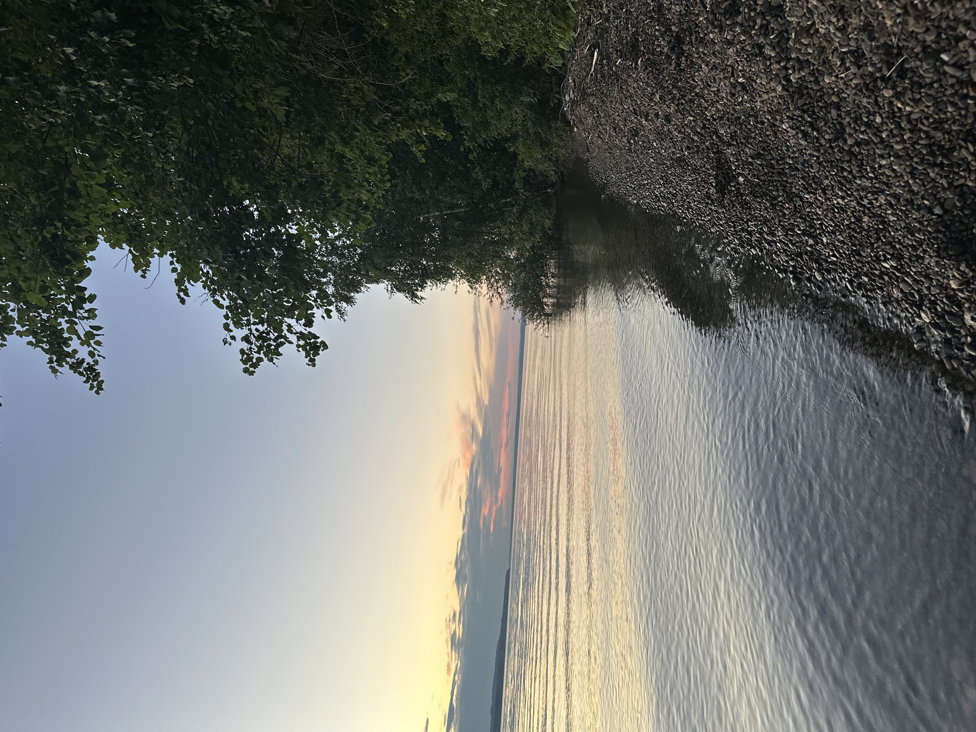 A tranquil scene unfolds at sunset by a calm body of water, likely a lake or large river. The water, reflecting the soft hues of the sky, gently laps against a rocky shore. Lush green trees line the bank, creating a natural boundary and casting shadows into the water. The sky transitions from a pale blue at the top to warmer tones of yellow and pink near the horizon, with a few wispy clouds adding texture. The overall impression is one of peaceful natural beauty, undisturbed by human activity. The location is identified as Горы, Russia.