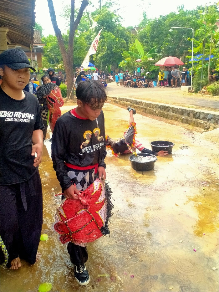 This image depicts an outdoor cultural performance or ritual occurring on a wet, unpaved surface in Gebyog, Indonesia.
In the foreground, two young males are prominent. On the left, a male in a black baseball cap, black "JOKO REWANG LOKAL CULTURE PRIDE" t-shirt, and dark pants stands barefoot in shallow water, looking towards the right. To his immediate right, a second young male, with wet hair and a white substance on his face, wears a wet black "JOKO REWANG GEBYOG" long-sleeved shirt, a black and white checkered sarong, dark pants, and black sneakers. He holds a red, white, and black decorated traditional horse-head prop, likely for a 'kuda lumping' performance, and looks downwards.
In the mid-ground to the right, a third individual, dressed in a vibrant traditional costume (red, yellow, black), lies on their back with legs raised, partially submerged in the shallow water. Two black plastic buckets are positioned near this performer, one containing splashing water. The ground is wet, appearing as shallow standing water mixed with dirt, and contains scattered green debris and pink flower petals.
The background features a paved road running horizontally. Numerous spectators, primarily young adults, are seated or standing along the road's edge, observing the event. A red umbrella and a blue canopy are visible above parts of the crowd. Lush green trees and foliage dominate the background, including a banana plant, suggesting a tropical or semi-rural environment. A tall white flag with red text is visible among the trees on the left side of the background. Part of a traditional wooden building with a tiled roof is also visible on the far left. Another performer in a red and gold costume is partially obscured behind the central foreground figure. The scene indicates an active public performance or ceremonial event.