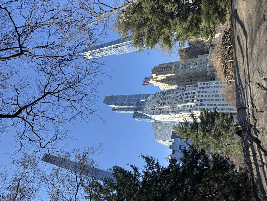 The image presents an upward-angled view from Central Park, New York City, United States of America, towards a dense city skyline under a clear blue sky. The foreground is dominated by large, grey, weathered rock outcrops with visible crevices, illuminated by direct sunlight. To the left, a cluster of dark green evergreen trees rises from the mid-ground. In the right mid-ground, a low, rectangular structure constructed from interwoven bare branches and twigs sits on a slightly elevated area. The upper portion of the scene is framed by intricate networks of dark, bare deciduous tree branches, silhouetted against the unblemished blue sky.
The background cityscape features a variety of high-rise buildings. On the far left, a very tall, slender, glass-clad skyscraper curves gently. Towards the center, multiple modern, reflective glass skyscrapers of varying heights are visible. Below and to the right of these modern structures stands an older, ornate, light-colored building with a distinctive green-sloped roof section. Adjacent to it, a tan-colored building displays a prominent red "ESSEX HOUSE" sign on its rooftop. On the far right, partially obscured by evergreen foliage, another tall, slender, glass-clad skyscraper is visible. No people, animals, or vehicles are present in the scene. The lighting indicates a bright, sunny day.