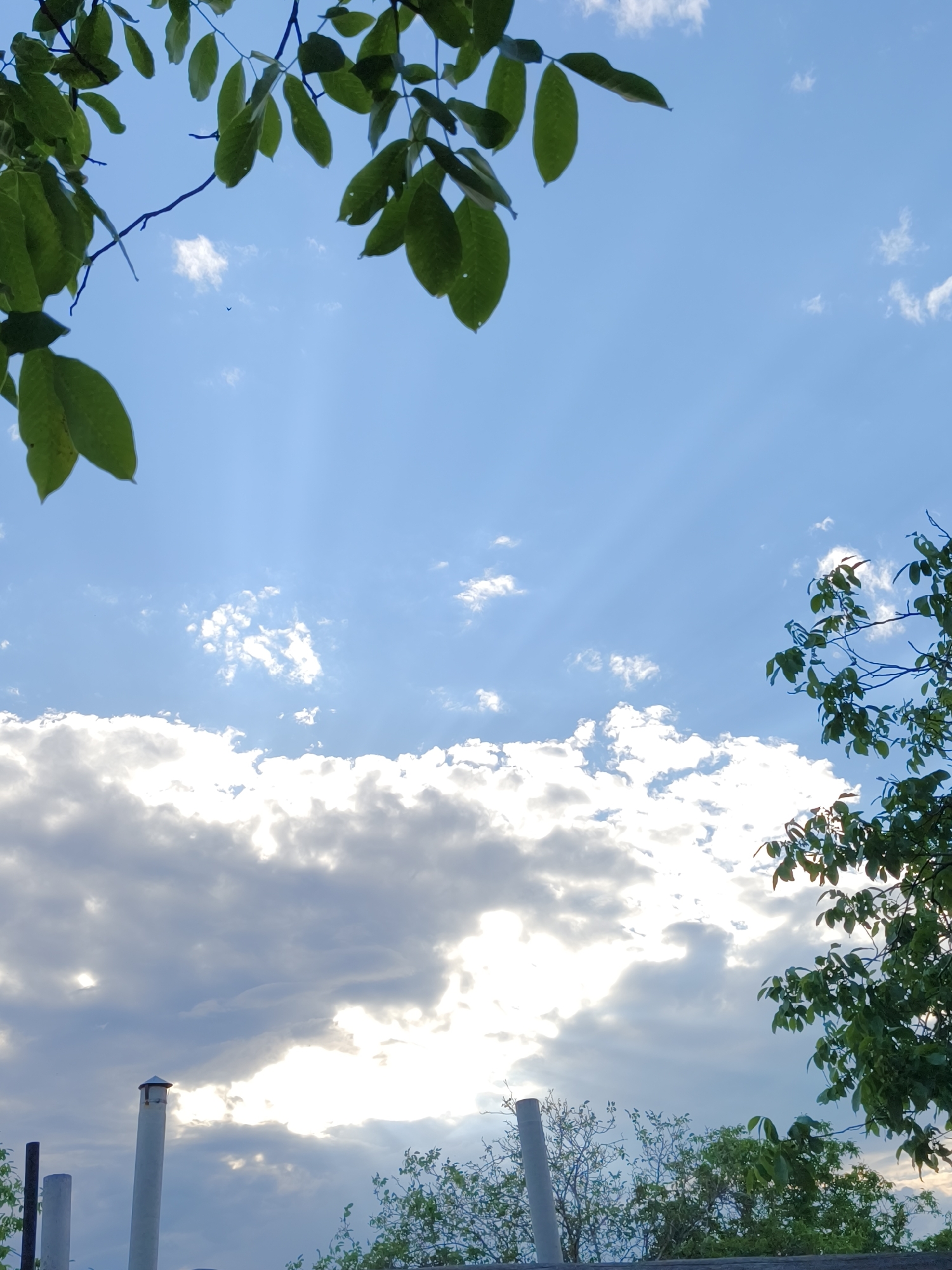The image shows a bright blue sky with scattered white clouds, illuminated by sunbeams. Green leaves and branches from trees frame the top and right sides of the sky. In the lower portion of the image, the tops of several chimney-like structures are visible, along with more greenery. The scene appears to be an outdoor view, possibly from a rooftop or elevated position, with a sense of open space and a partly cloudy sky. The environment suggests a daytime setting, with sunlight playing a significant role in the illumination. Based on the prompt, the location is the city of Kryvyi Rih, Ukraine.