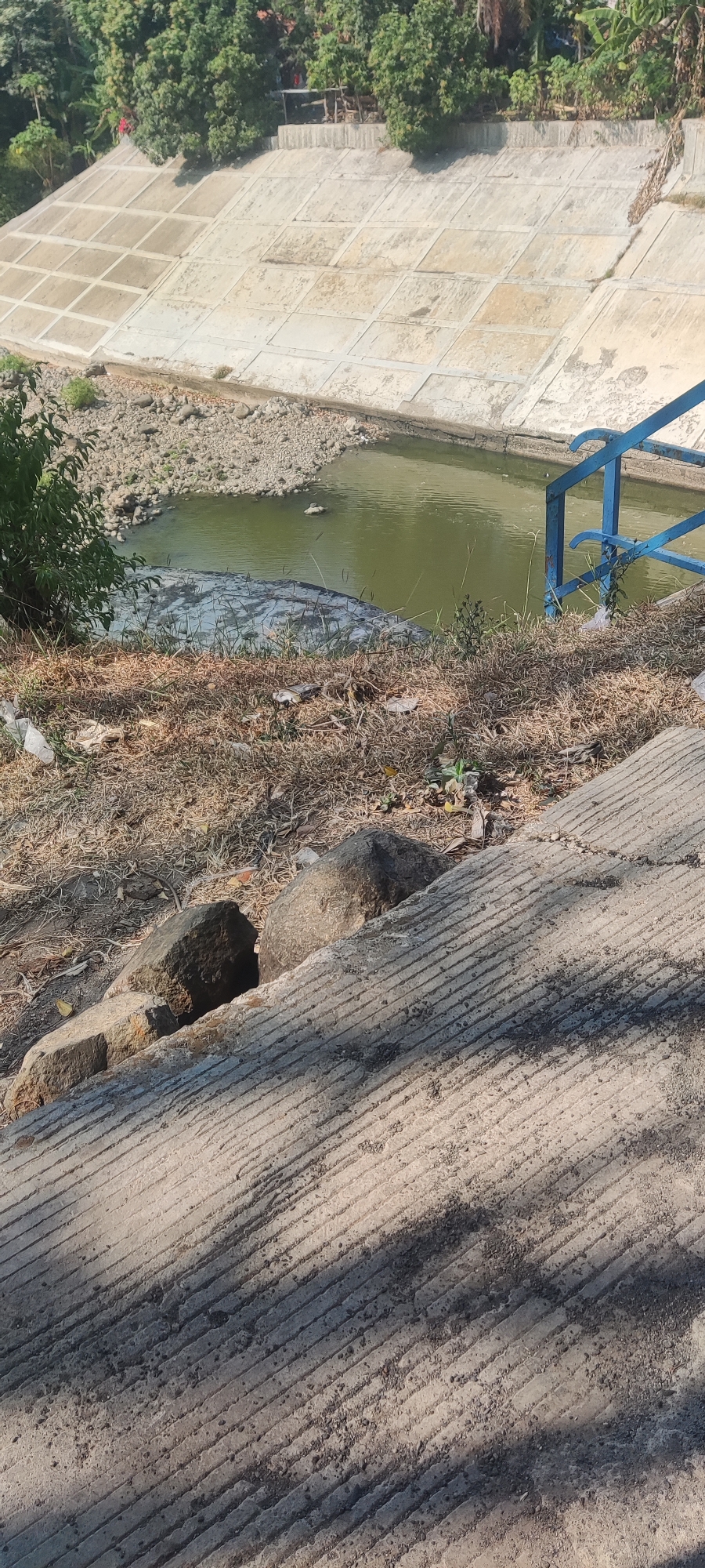 This is a photograph of a canal in Panongan, Indonesia. The canal is lined with concrete walls on the upper side and has a rocky bank on the lower side. The water in the canal appears murky green. There is a blue metal railing on the right side of the canal, leading down to the water. The foreground of the image consists of a textured concrete surface with shadows cast upon it. Dried grass and some litter are visible on the bank between the concrete surface and the canal. Trees and vegetation are present on the top of the canal embankment. The scene suggests an outdoor, possibly urban or semi-urban, environment.