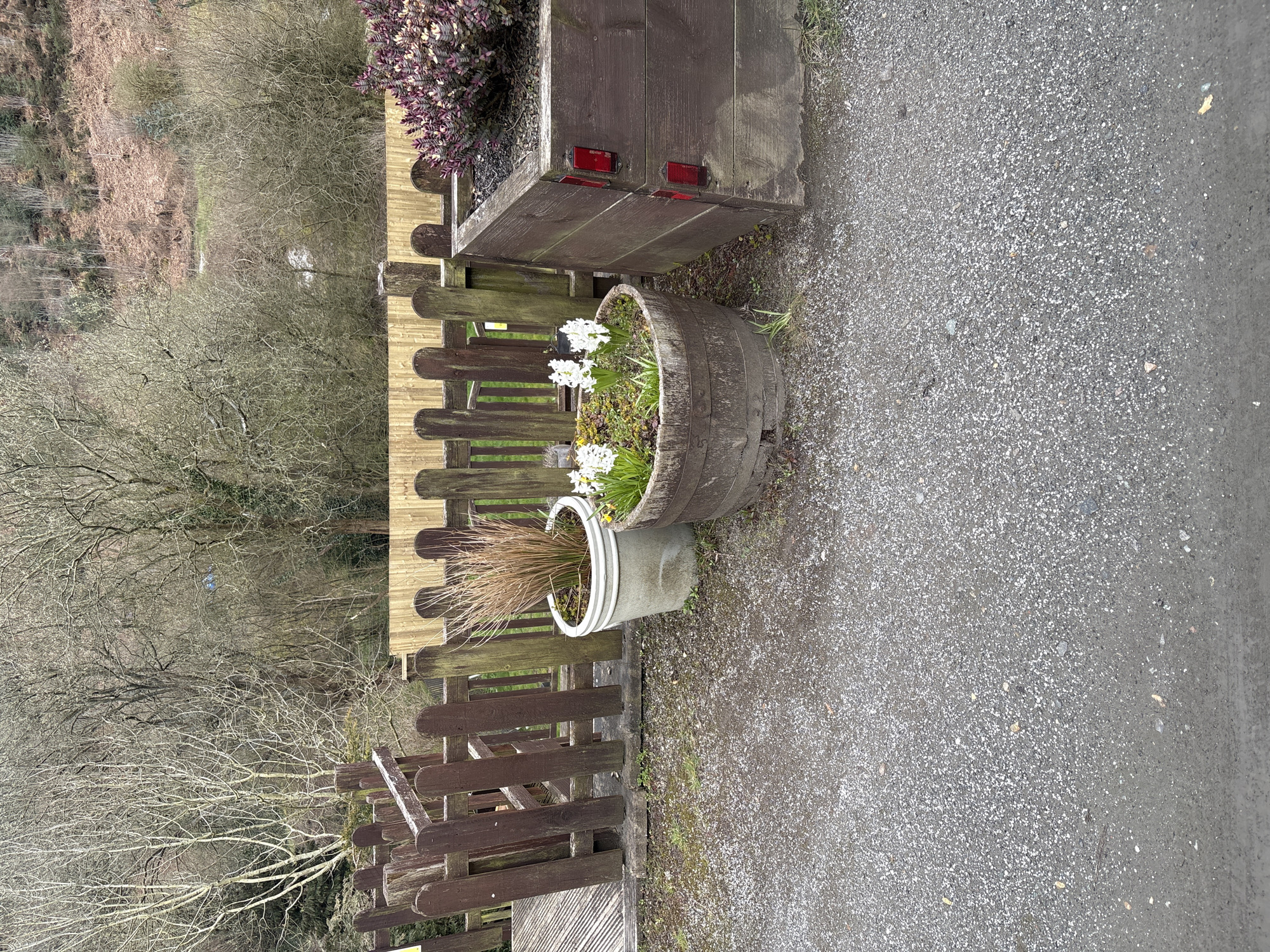 The image shows a scene with a rustic aesthetic, likely situated in the countryside of Shelve, United Kingdom. In the foreground, there is a weathered wooden fence of varying shades of brown. Adjacent to the fence are several planters: a large wooden planter box with reddish-purple foliage, a half-barrel planter with white flowers and green foliage, and a smaller, cylindrical concrete planter with tan grass-like plants. The planters are positioned on a grey gravel or asphalt surface. Beyond the fence is a view of trees, appearing bare or sparsely leaved, characteristic of a late autumn or winter season. The background landscape includes a hillside, suggesting the location is in a rural or semi-rural area. There is no immediate sign of people or prominent buildings.