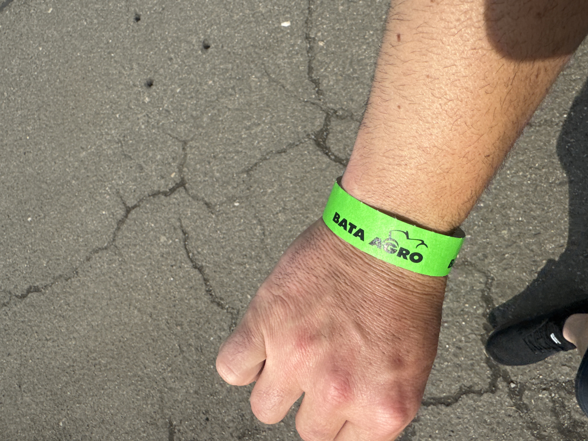 This close-up, high-angle shot captures a person's right forearm and hand, wearing a bright green wristband, against a cracked asphalt background. The arm is hairy, suggesting an adult male.
The most prominent object is the neon green wristband, which bears the text "BATA AGRO" in black capital letters. Between "BATA" and "AGRO," there is a clear black logo depicting the silhouette of a tractor, indicating an agricultural theme. This wristband likely serves as an admission pass or identification for an event.
The setting is outdoors, on a textured, dark grey asphalt pavement showing several fine cracks, suggesting age and wear. The strong shadows, including a partial shadow of a person's leg and a black shoe in the lower right corner, indicate bright sunshine and a daytime setting.
The image suggests the subject is attending an agricultural exhibition or fair, specifically "BATA AGRO," likely held in Madzherito, Bulgaria, given the provided location context. No particular activity beyond attendance is visible, and no emotions are discernible from the partial view of the person.