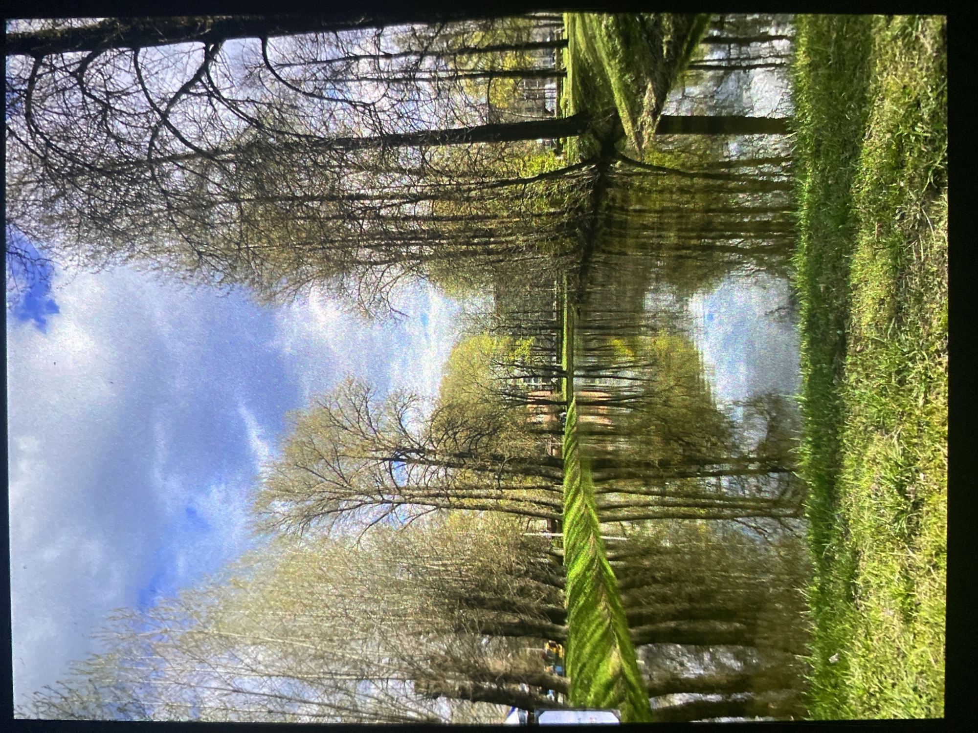 The image depicts a canal in Saint Petersburg, Russia, lined with trees on both sides. The trees are reflected in the water of the canal, creating a symmetrical effect. The sky is visible above the trees, with some clouds. The scene is generally green and blue, with the colors of the trees and the sky dominating the image. There is green grass along the side of the canal.