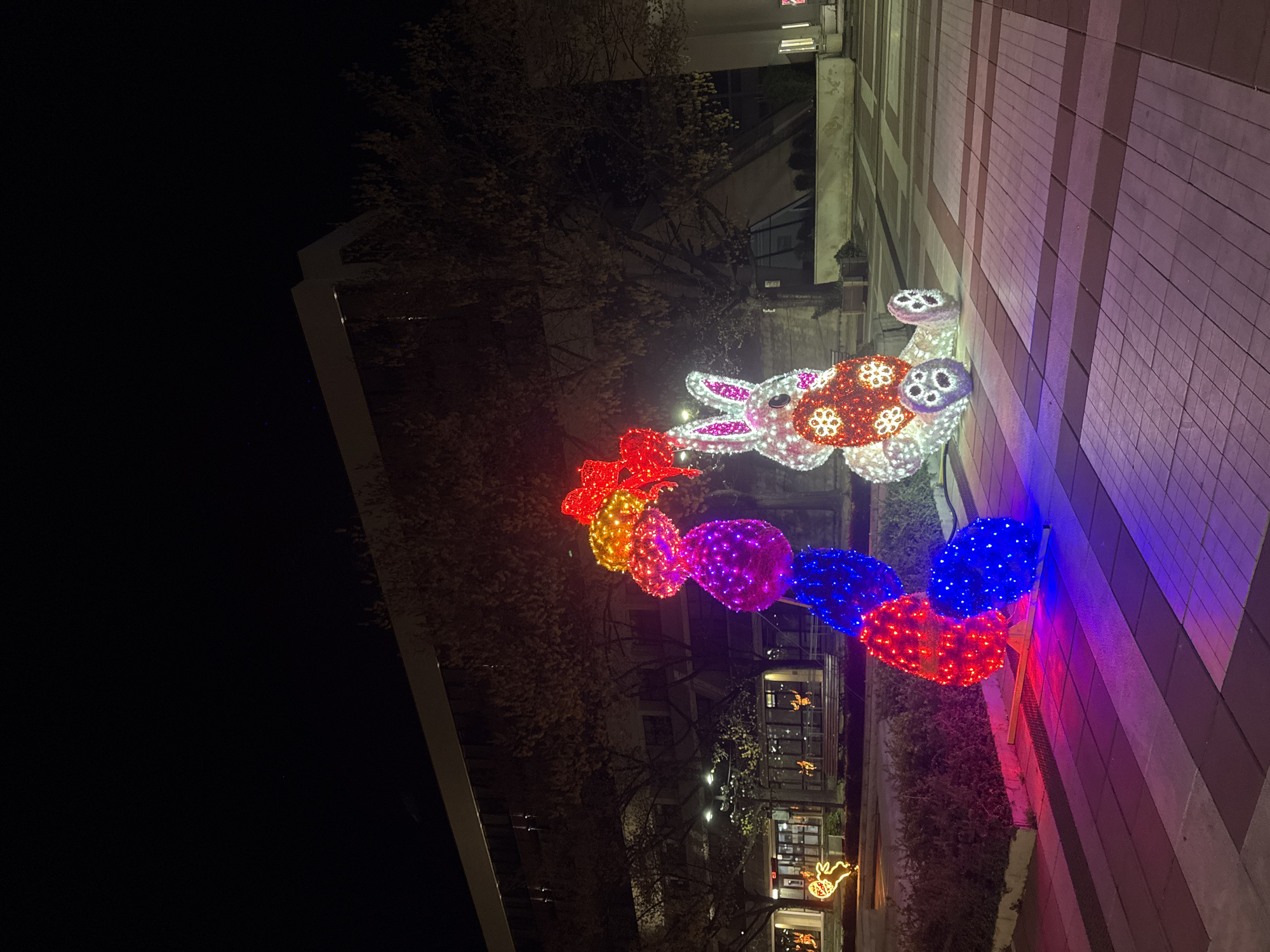 The image shows a nighttime view in what is likely the city of Blagoevgrad, Bulgaria based on the presence of rabbit-themed illuminated decorations, as rabbits are associated with the city of Blagoevgrad. A large, illuminated rabbit decoration with colorful spherical attachments is featured prominently along a building's exterior. The lights on the decoration are red, orange, pink, blue, and white. There are trees and other illuminated decorations visible in the background. The image is taken at night.
