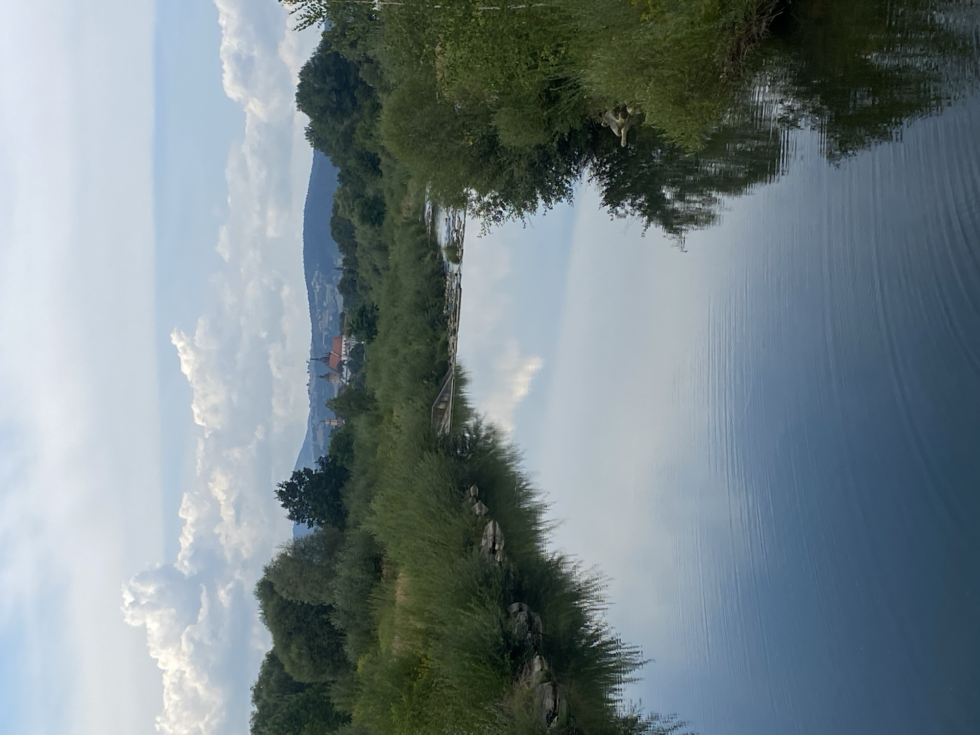 The image shows a wide, calm river flowing through a lush, green landscape. The river's surface is reflective, mirroring the cloudy sky and the surrounding trees and vegetation. On the left bank, dense green bushes and some scattered rocks are visible, with their reflections clearly depicted in the water. The right bank is also lined with thick green foliage. In the distance, beyond the trees, a town or village is nestled amidst rolling hills. Prominent structures with red roofs, possibly churches or historical buildings, are visible. The sky is partly cloudy with large, white cumulus clouds against a pale blue backdrop. The overall scene suggests a natural landscape with a hint of human settlement in the distance, characteristic of the outskirts of a town like Nowy Sącz, Poland, which is known for its rivers and scenic surroundings. There are no people or animals visible in the image, and no specific actions are taking place. The focus is on the tranquil river and the natural environment.