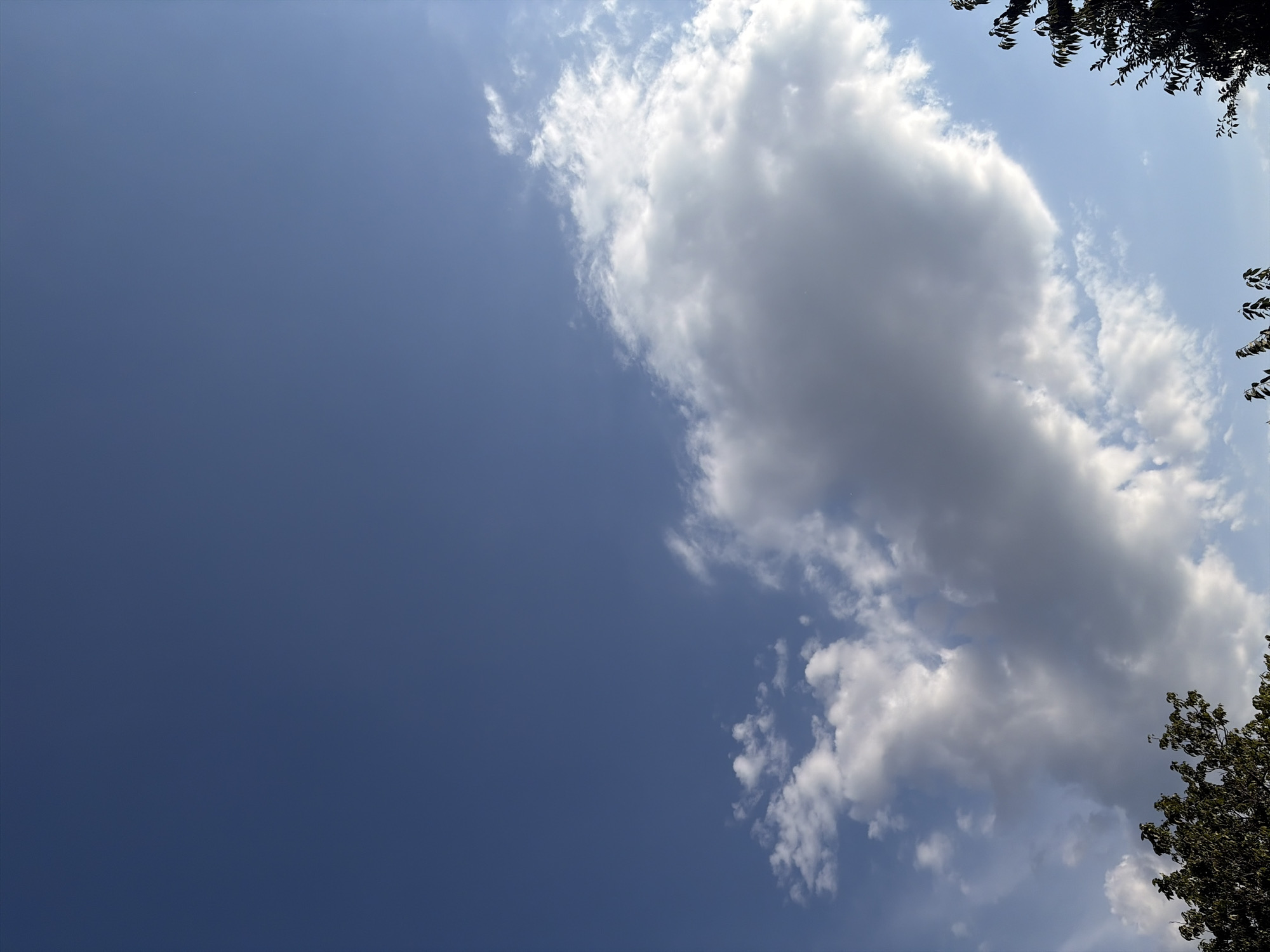 A vertical photograph captures a clear blue sky with scattered clouds. The clouds are predominantly white and fluffy, with a larger, darker cloud formation dominating the center-right portion of the frame. The bottom edge of the image shows the tops of dark green trees. The scene is devoid of people or any visible urban elements, suggesting an outdoor, possibly rural or park-like setting. The lighting indicates it is daytime, with sunlight illuminating the clouds from the right. There is no specific indication of the city of Oxentea, Moldova within the image itself.