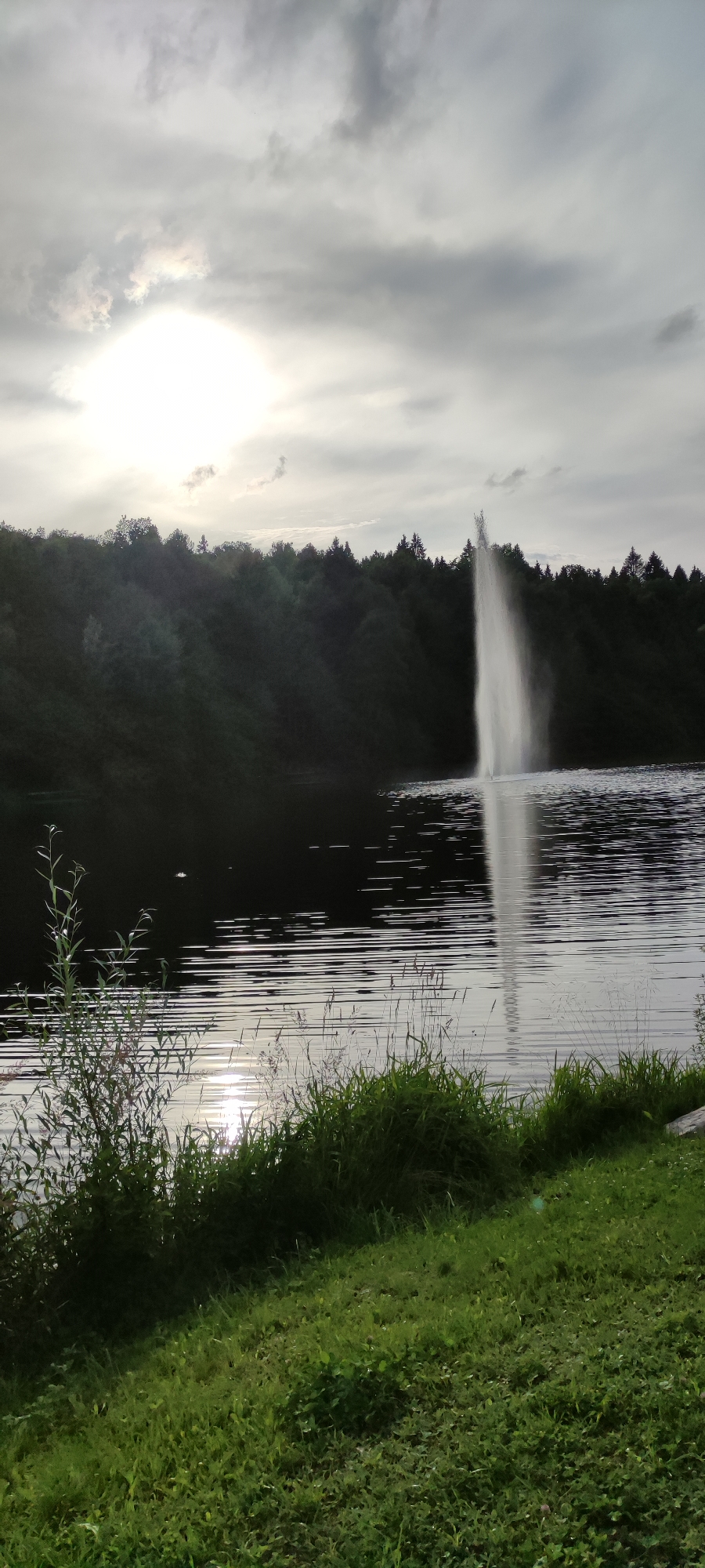 This image captures a scenic view of a lake with a prominent water fountain spraying a tall column of water. The background features a dense line of trees forming a dark green backdrop against a sky with dramatic clouds. The sun is partially obscured by clouds, casting a soft glow on the water's surface, which is rippled and reflects the light in streaks. In the foreground, lush green grass and reeds line the bank of the lake, with some vegetation extending into the water on the left side of the frame. The overall impression is a serene natural environment, possibly a park or recreational area, located in the city of Rosinka, Russia, given the context provided. There are no people visible in the image.