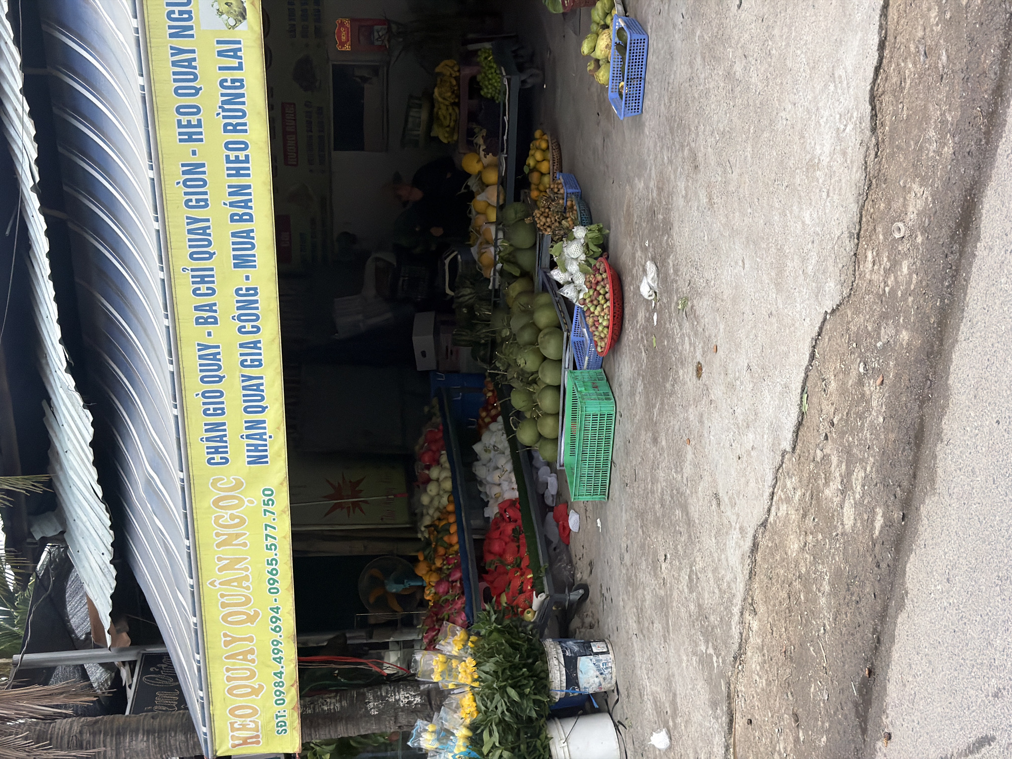 The image depicts a street-side fruit and meat stall located in Nha Trang, Vietnam. A yellow awning with blue lettering stretches across the front of the stall. The text on the awning reads "HEO QUAY QUAN NGỌC" and "CHÂN GIÒ QUAY GIÒN - HEO QUAY NGỌC NHẬN QUAY GIA CÔNG - MUA BÁN HEO RỪNG LAI". Below this, it lists contact numbers: "SĐT: 0984.499.694 - 0965.577.750".
Beneath the awning, a variety of fresh produce is displayed on metal shelving units. These include dragon fruit, oranges, pomelos, and what appear to be lychees or similar small red fruits. To the left, several buckets hold bouquets of yellow flowers. In the foreground, more fruit is arranged in baskets and crates on the concrete ground, including green pomelos and smaller fruits like longans and possibly rambutan. A green plastic crate is visible near the center of the image.
In the background, within the covered area of the stall, a person wearing a hat is seated, possibly attending to customers or preparing goods. A blue fan is visible behind the produce on the upper shelf. The ground surface in front of the stall is made of concrete, showing signs of wear and tear, with some cracks and dirt. To the right of the stall, a red sign with Vietnamese lettering is mounted on the wall. The overall scene suggests a commercial establishment operating in an outdoor urban environment.