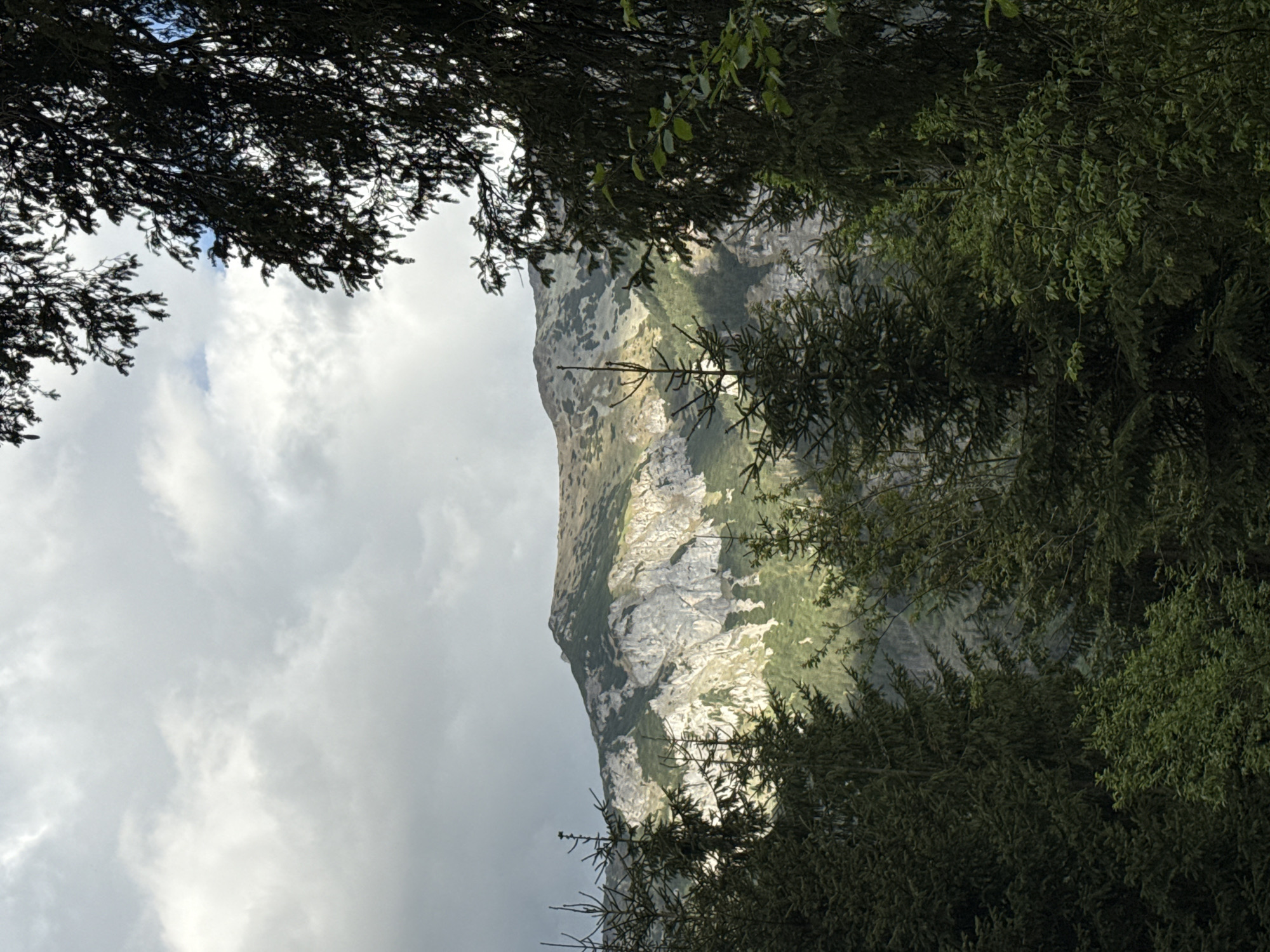 The image shows a mountain framed by trees. The mountain is predominantly gray and white, possibly due to rock formations or snow cover, with patches of green vegetation. The sky is overcast with gray and white clouds. The trees in the foreground are dense and green, creating a natural frame for the mountain view. The location is in Brzegi, Poland.