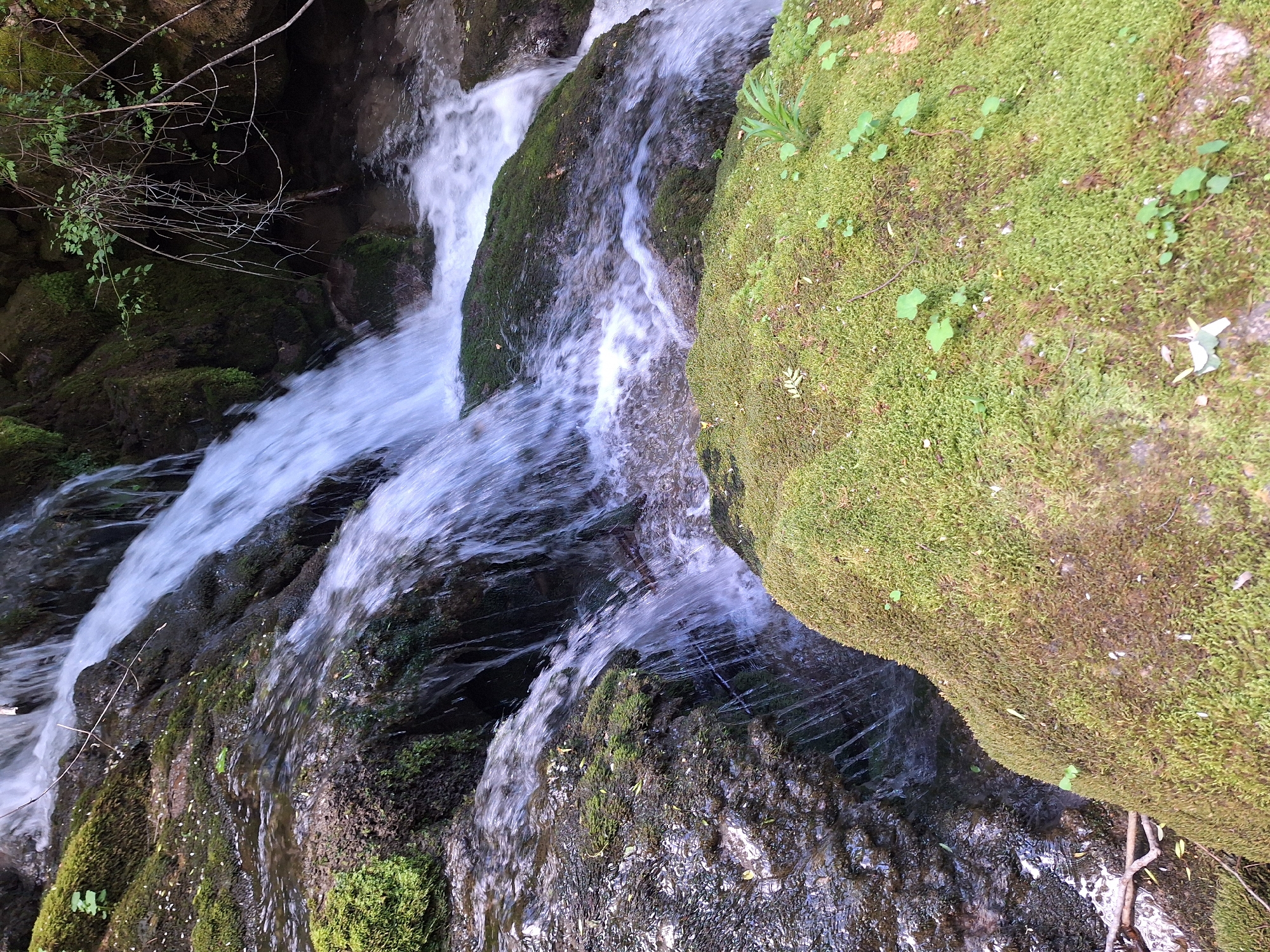 A cascading waterfall rushes over moss-covered rocks and boulders in Zasele, Bulgaria. The water appears white and foamy due to motion blur. The moss is a vibrant green, and the rocks vary in color from dark grey to brown. Some foliage and tree branches are visible in the upper left corner.