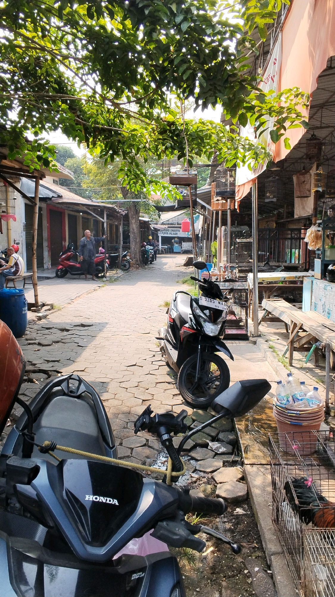 The image depicts a street scene in Mojokerto, Indonesia, likely a market or a row of shops. A cobblestone pathway runs through the middle of the scene, lined with structures on either side. Lush green trees with dappled sunlight create a canopy overhead.
In the foreground, several motorcycles are parked. One black motorcycle is prominently positioned on the right, with its license plate reading "S 3205 NAB". Another dark-colored motorcycle with "HONDA" visible on its front is in the immediate foreground.
Further down the path, a man in a dark shirt and pants stands near a red motorcycle, gesturing with his right hand. Another person is seated on a bench to the left, wearing a striped shirt. Several more motorcycles are parked in the background.
The stalls on the right side of the street appear to be selling goods, with cages containing birds visible. A large orange bucket filled with bottled water is situated near the edge of the pathway, next to a metal cage holding a rooster. The environment suggests a vibrant, possibly commercial, outdoor space.