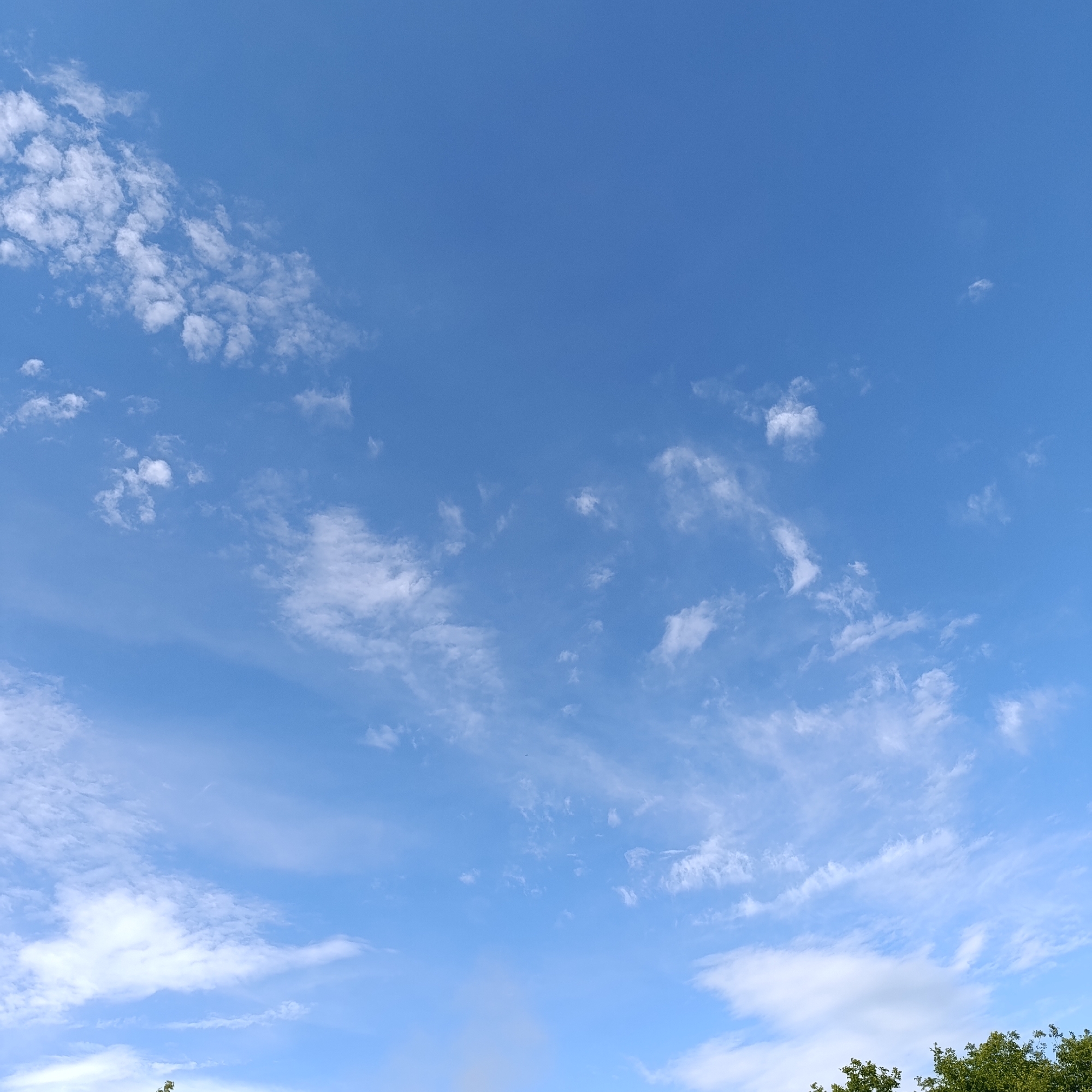 The image shows a clear blue sky with scattered white clouds. The clouds are wispy and appear at various altitudes, with some denser formations and others very thin and feathery. The bottom edge of the image shows the tops of green trees, suggesting an outdoor, natural environment. The scene is captured from a ground-level perspective looking upwards. There are no people or specific landmarks visible to pinpoint a location within Ladyzhyn, Ukraine, beyond it being an outdoor scene likely during daylight hours.