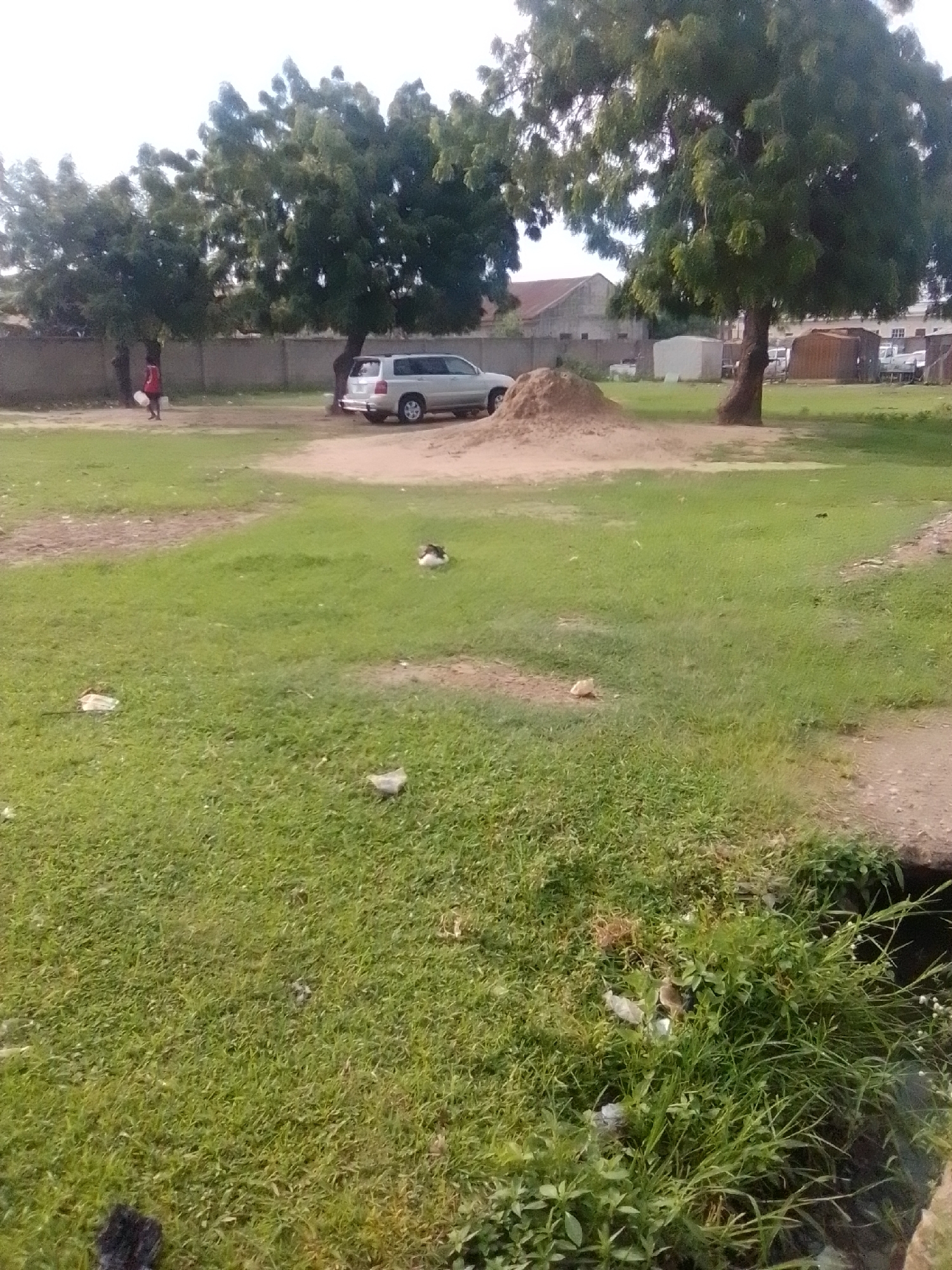 The image depicts an outdoor scene in Gombe, Nigeria, likely a park or an open area with grass. In the background, a silver SUV is parked near a mound of dirt and a fence. Several large trees with green foliage are scattered across the landscape. A person in a red shirt is visible walking away from the SUV, carrying a white object. The foreground is dominated by green grass, with scattered pieces of trash visible on the ground. A narrow path or ditch with some vegetation is present on the right side of the image. The sky is overcast.