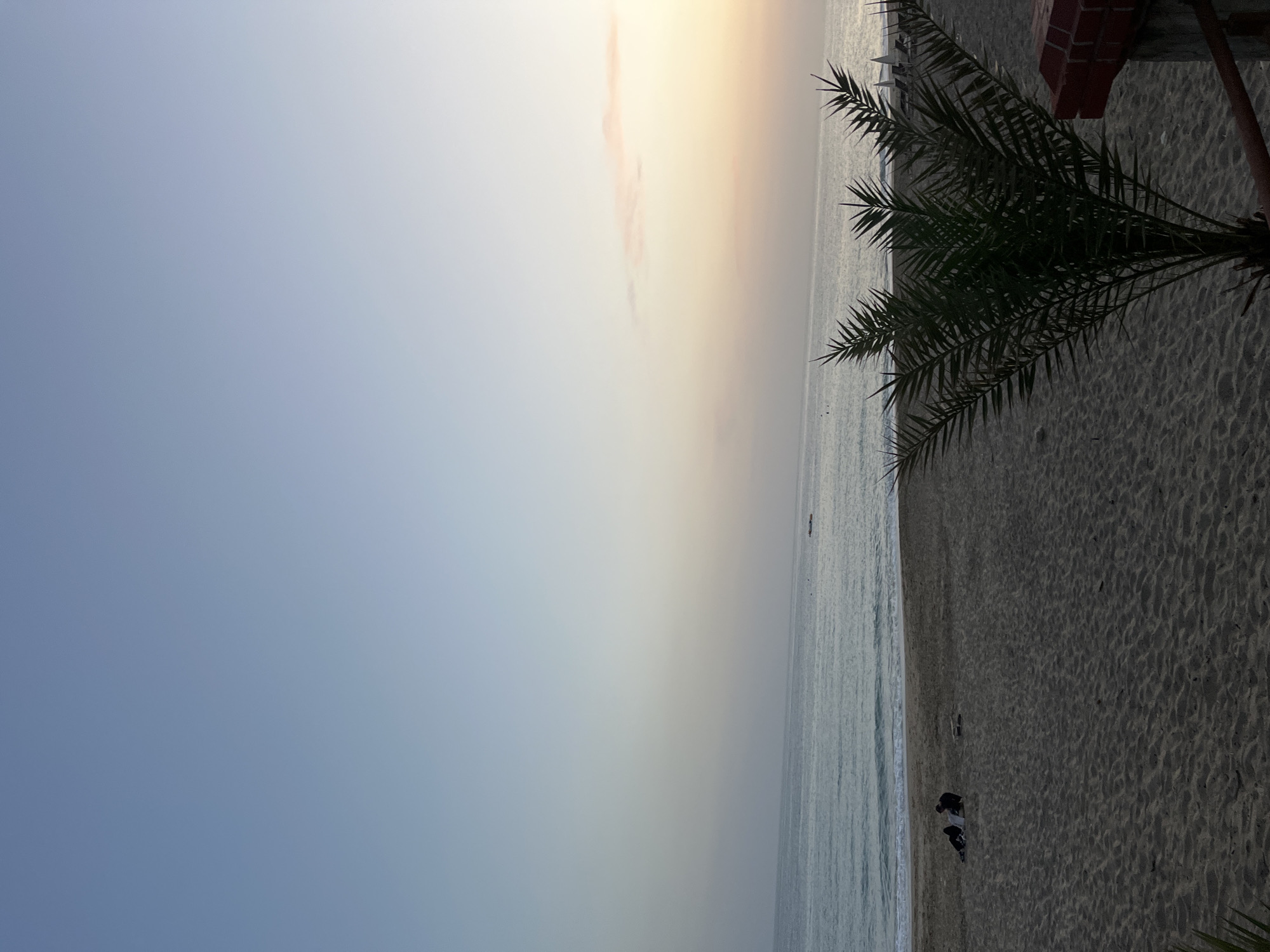 The scene depicts a beach in Alanya, Turkey, viewed from an elevated perspective. The sky transitions from a light blue to a pale orange near the horizon where the sea meets it. Calm waves edge the shore. There are two people present, situated on the sand near the water, but their activities are unclear. A palm tree branch extends into the frame on the right. The sand is tan and granular in texture.