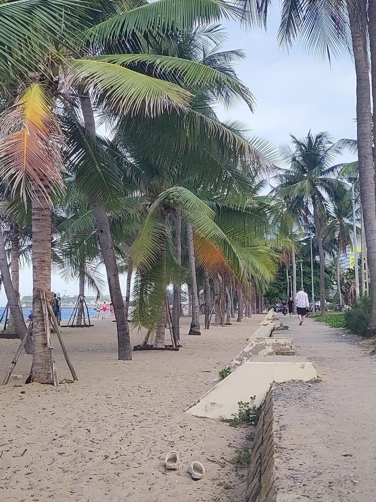The image depicts a beachfront scene in Nha Trang Ward, Vietnam, dominated by numerous palm trees lining a sandy shore and a paved walkway. On the beach, to the left, several people are visible near the water, some standing and others appearing to be walking. Further down the beach, more individuals can be seen, including a person in a pink swimsuit.
A man in a white shirt and dark shorts is walking away from the camera on the paved walkway that runs alongside the beach. The walkway is bordered by a low, concrete structure on the left and vegetation on the right. In the background, there are more palm trees, some with coconuts visible. Distant buildings and power lines are also discernible. Scattered on the sand in the foreground are a pair of white flip-flops. The sky is overcast with a pale blue hue.