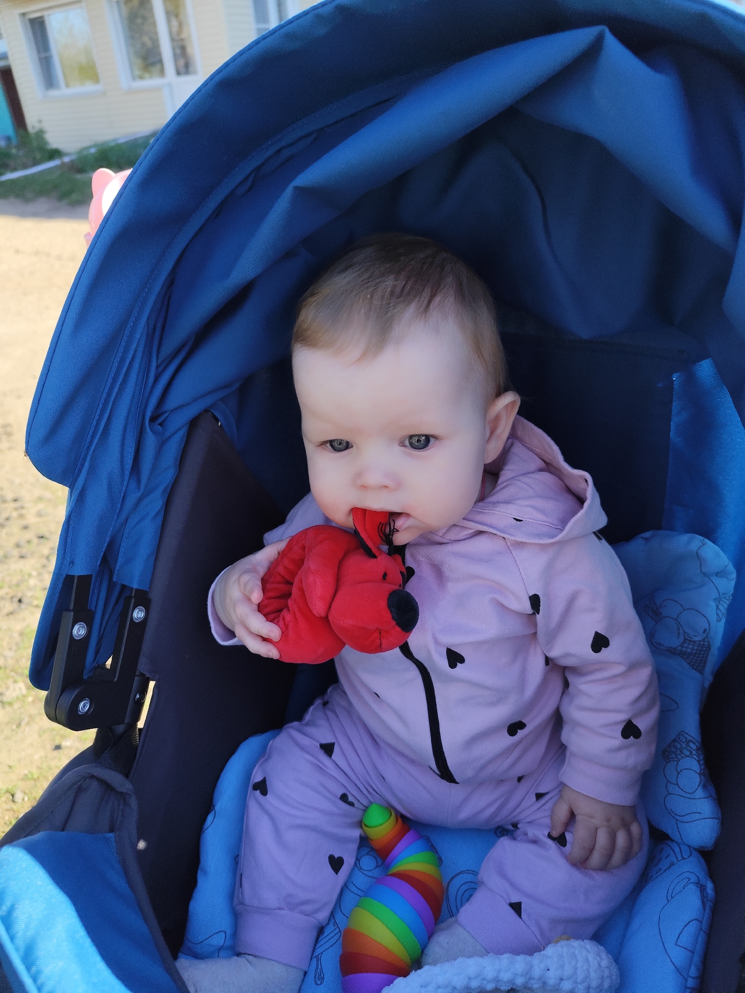 A baby is sitting in a blue stroller outdoors. The baby is wearing a light purple outfit with black hearts and holding a red stuffed toy, partially in its mouth. A colorful, rainbow-striped toy is also visible in the stroller. The background shows a building with white windows and light-colored walls. The location is the city of Фоки, Russia.
