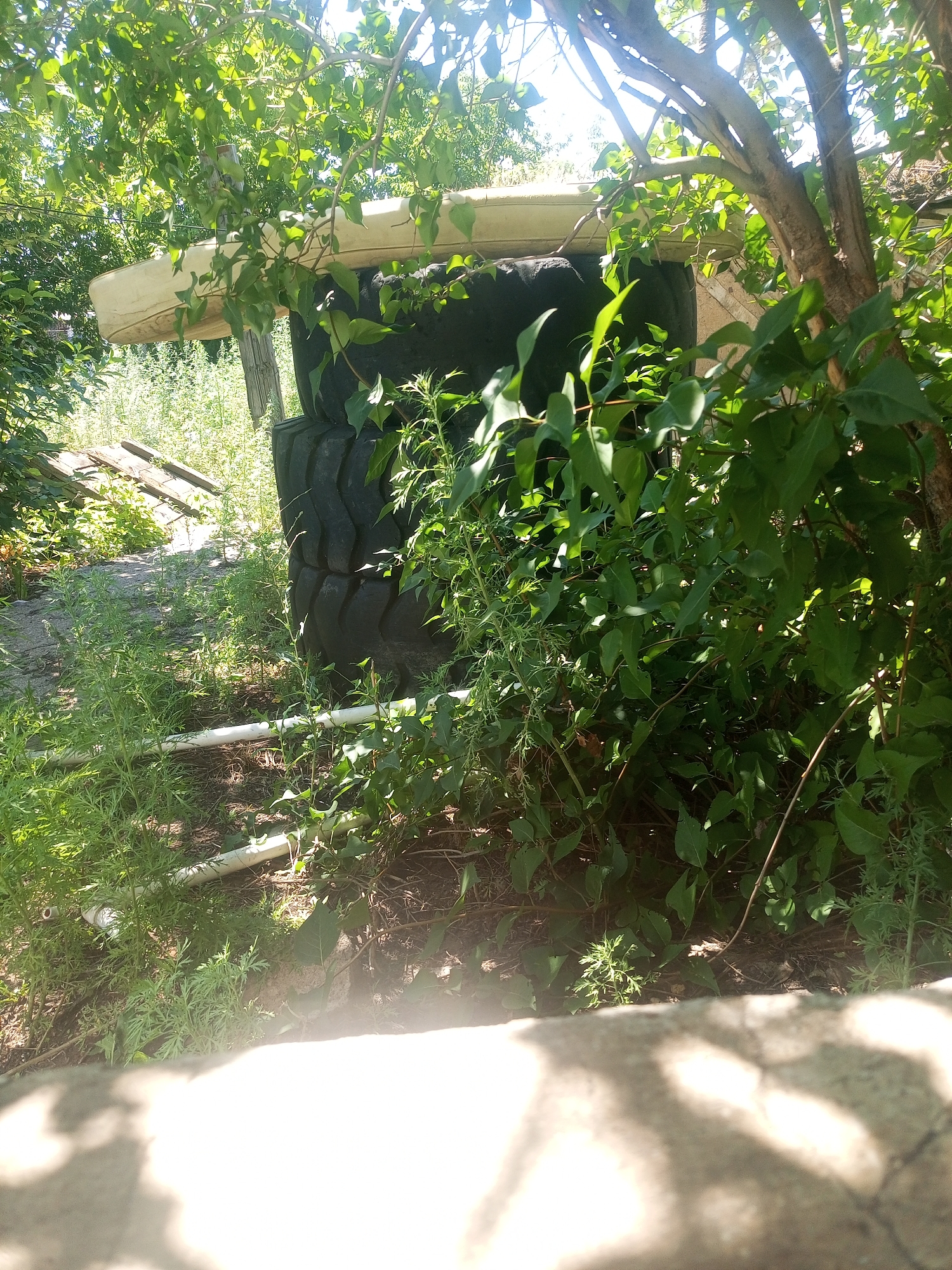 The image depicts an outdoor scene in the city of Қушоқы, Kazakhstan, dominated by lush green foliage and a stack of large, black tires. The tires are arranged vertically, with a light-colored, possibly plastic, object resting on top. The surrounding environment is overgrown with weeds and other vegetation, suggesting a natural or unkempt area. The lighting indicates it is daytime, with sunlight filtering through the leaves of trees. There are no people or animals visible in the frame. In the background, there are some wooden planks and white pipes are visible in the foreground. The overall impression is one of a rustic, outdoor setting.